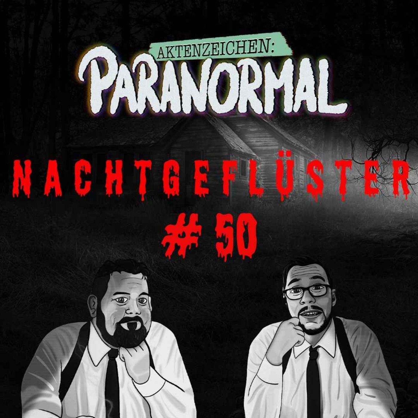 Aktenzeichen Nachtgeflüster #50: Erlebnisse der Community