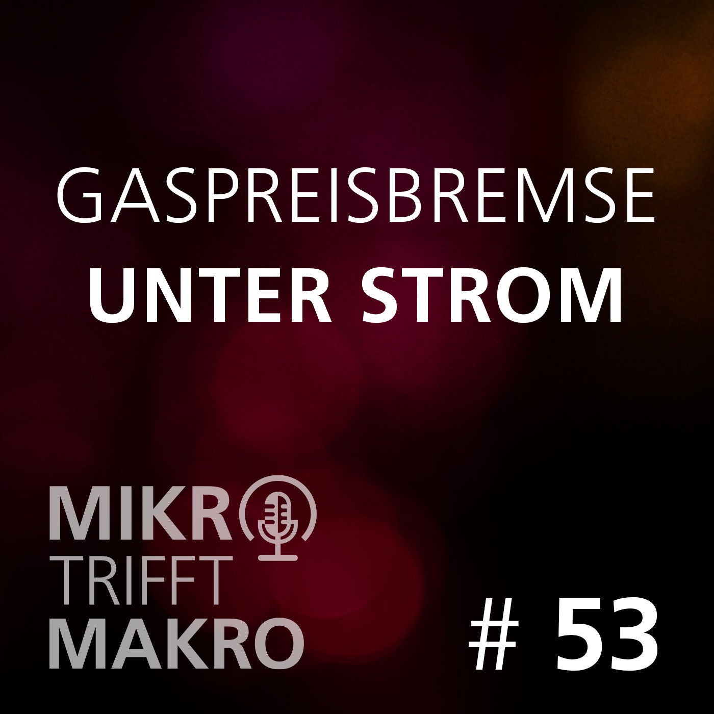 Folge 53 - Gaspreisbremse unter Strom