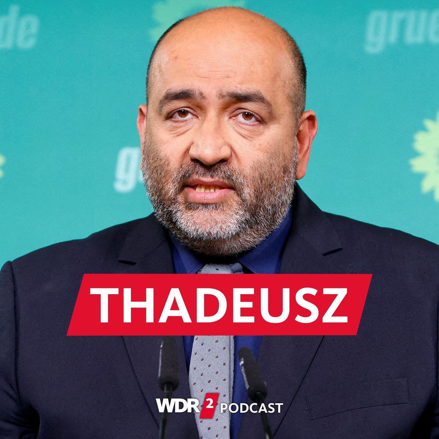 Omid Nouripour, Bundesvorsitzender Grüne