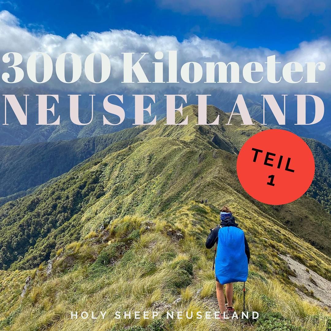 S1#31: TEIL 1 - 3000 Kilometer durch ganz Neuseeland - der Te Araroa Trail