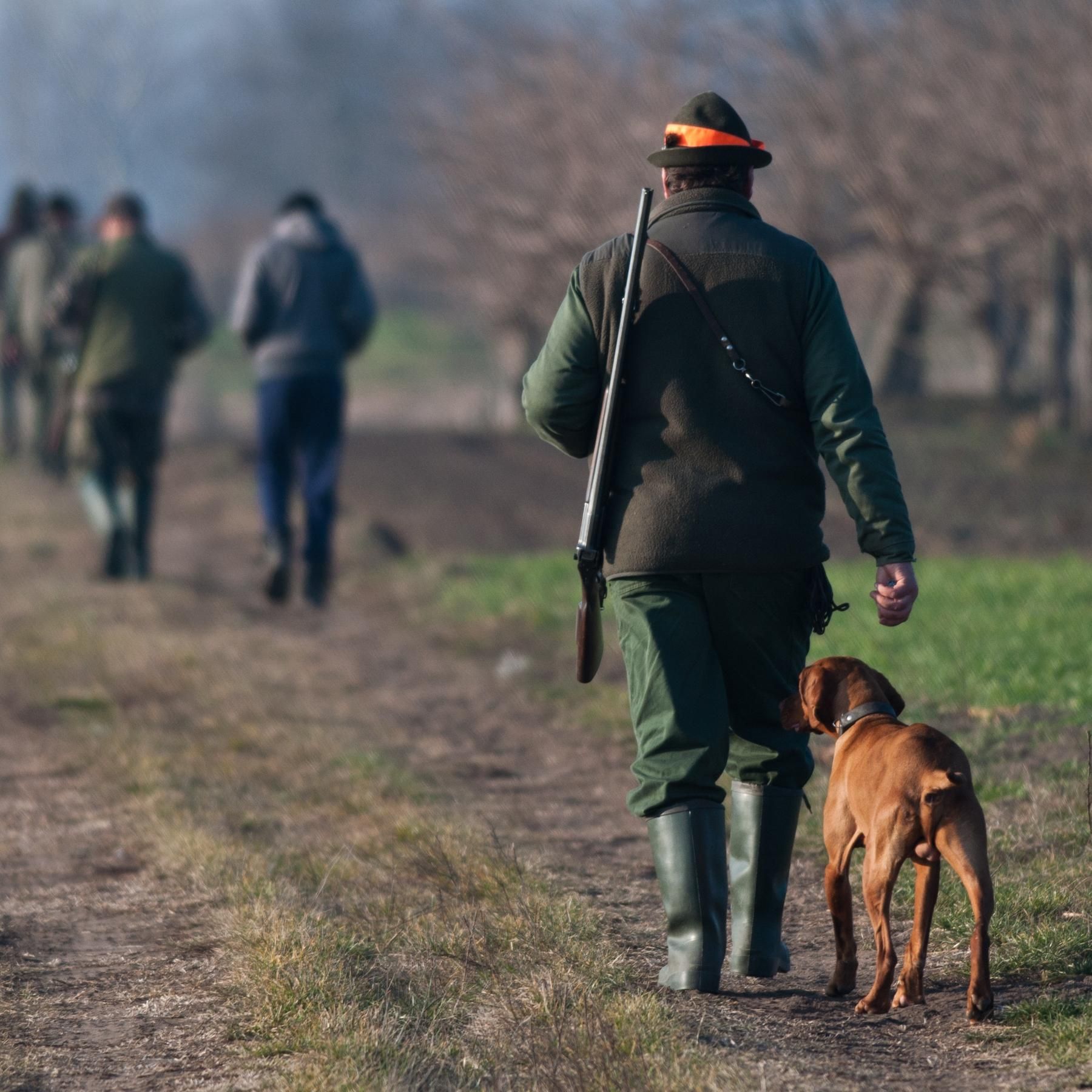 Die Jagd - Von der Trophäenjagd zur Ökojagd
