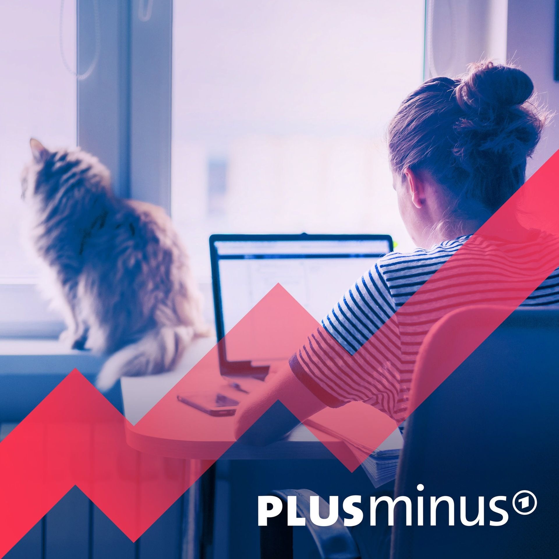 Homeoffice am Ende? Die Argumente im Check