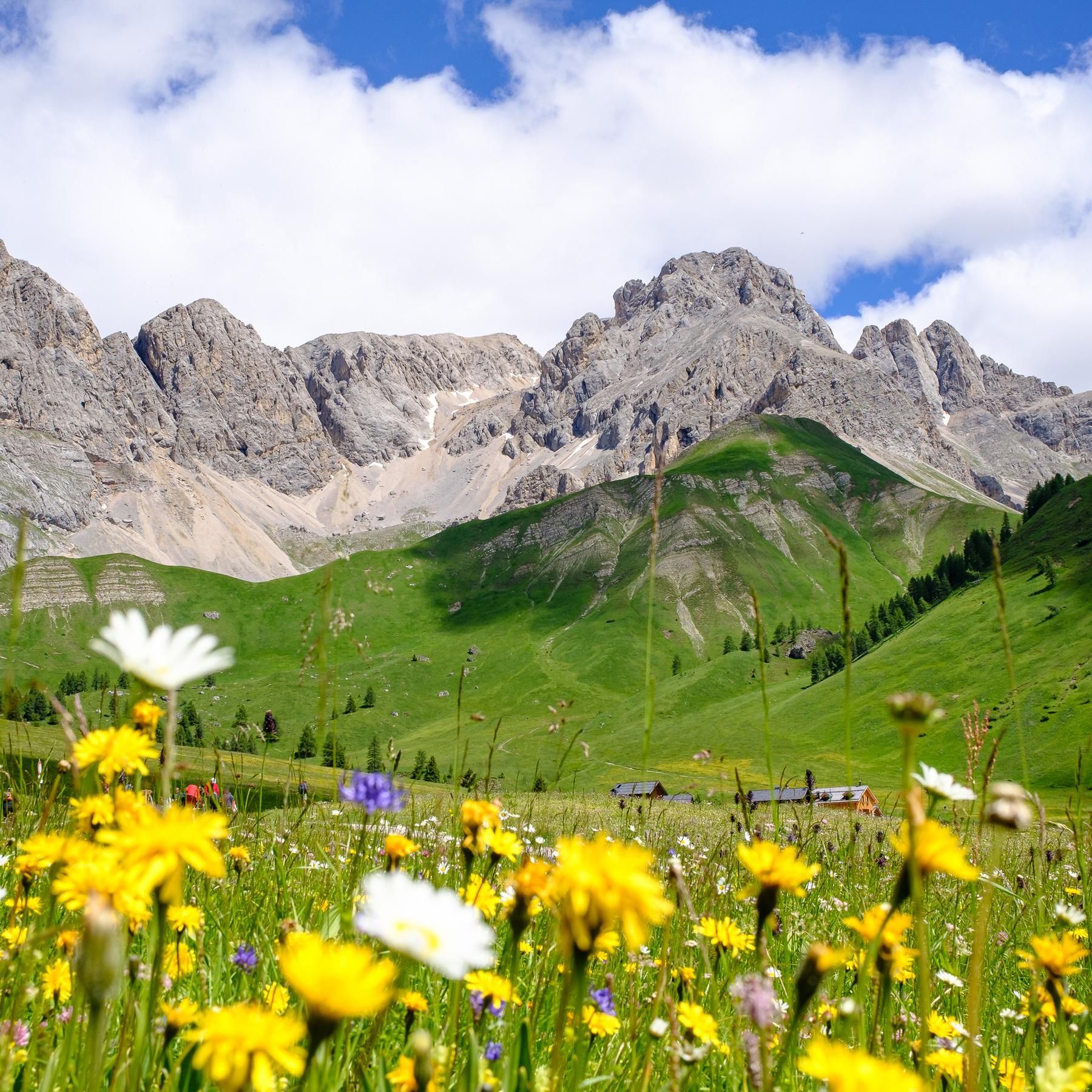 Philosophie der Berge - Von Höhen und Tiefen