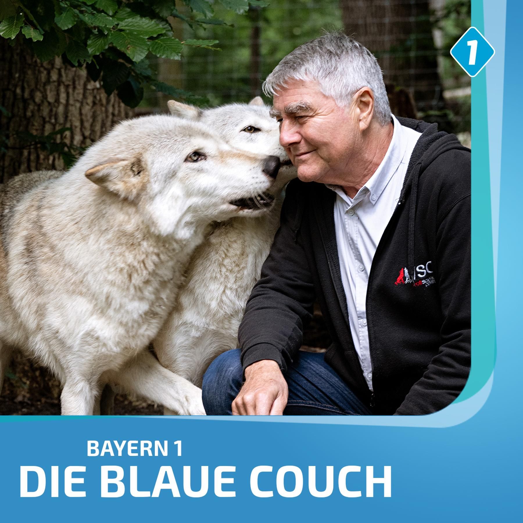 Kurt Kotrschal, Wolfsforscher: "Europaweit sind 70 bis 90 Prozent der Leute pro Wolf."