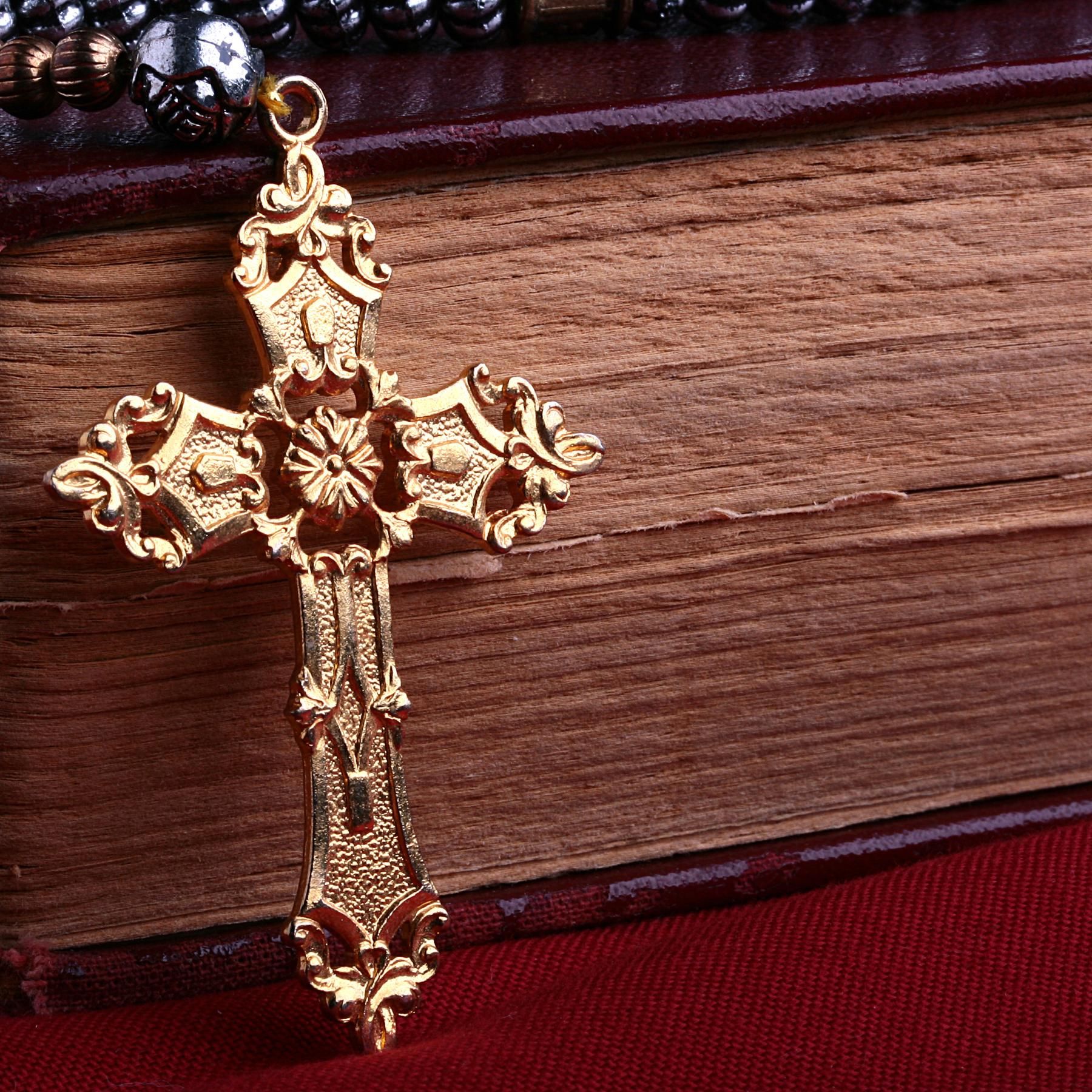 Was die Bibel über die Evolution verrät - Das Tagebuch der Menschheit