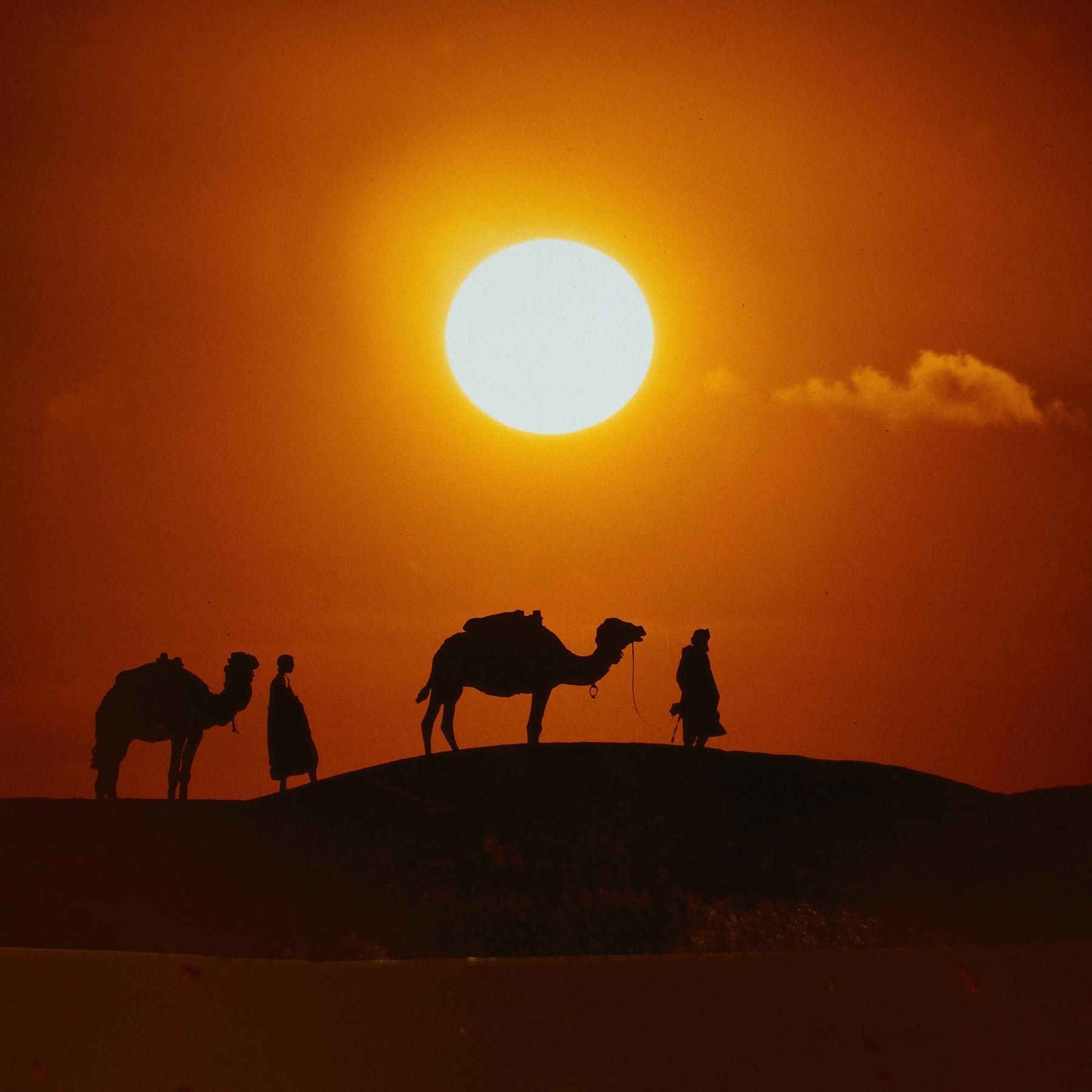 Frühzeitlicher Handel in Arabien - Mit Dhau und Dromedar