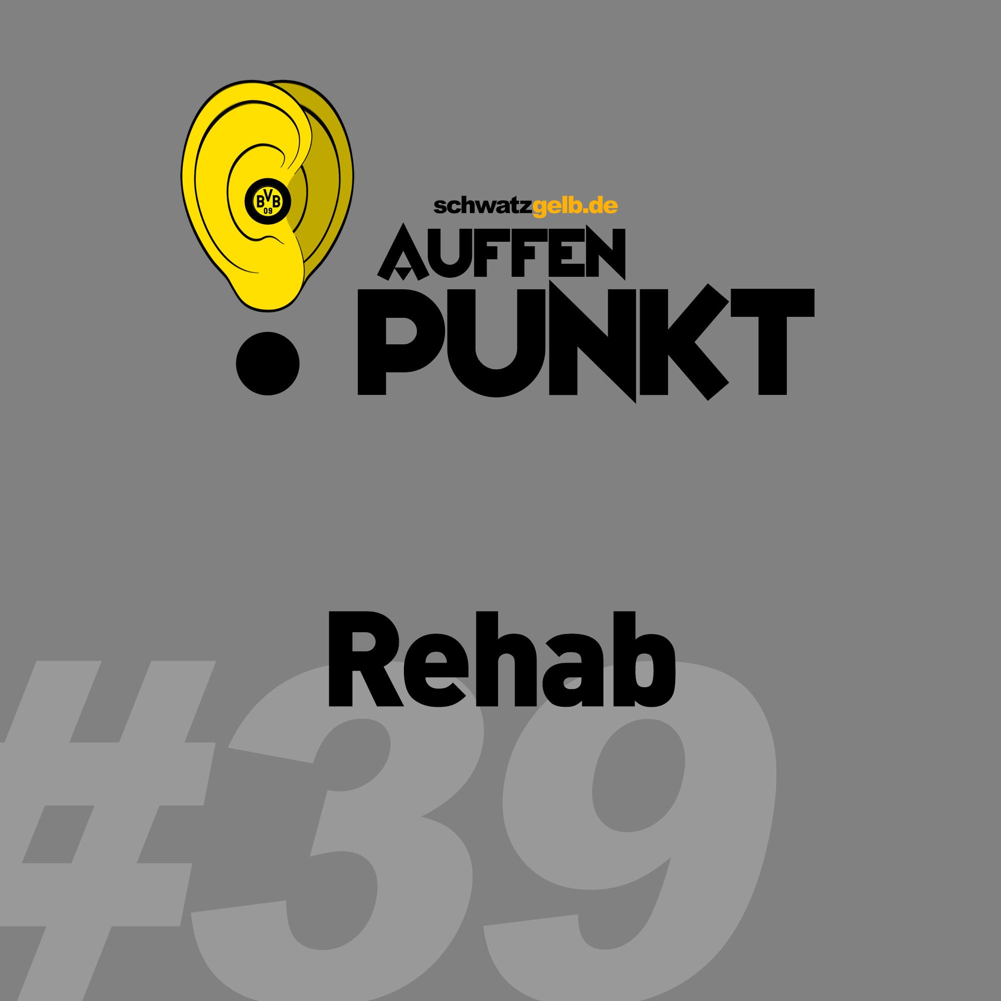 Auffen Punkt #39: Rehab