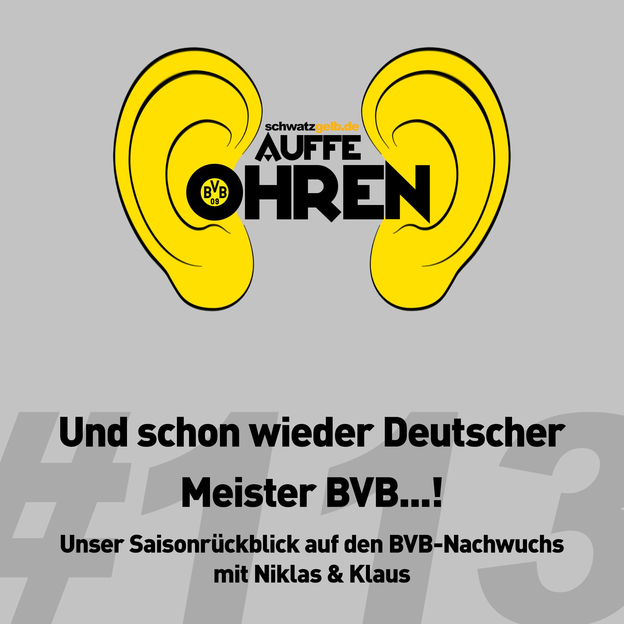 Auffe Ohren #113: Und schon wieder deutscher Meister BVB...!