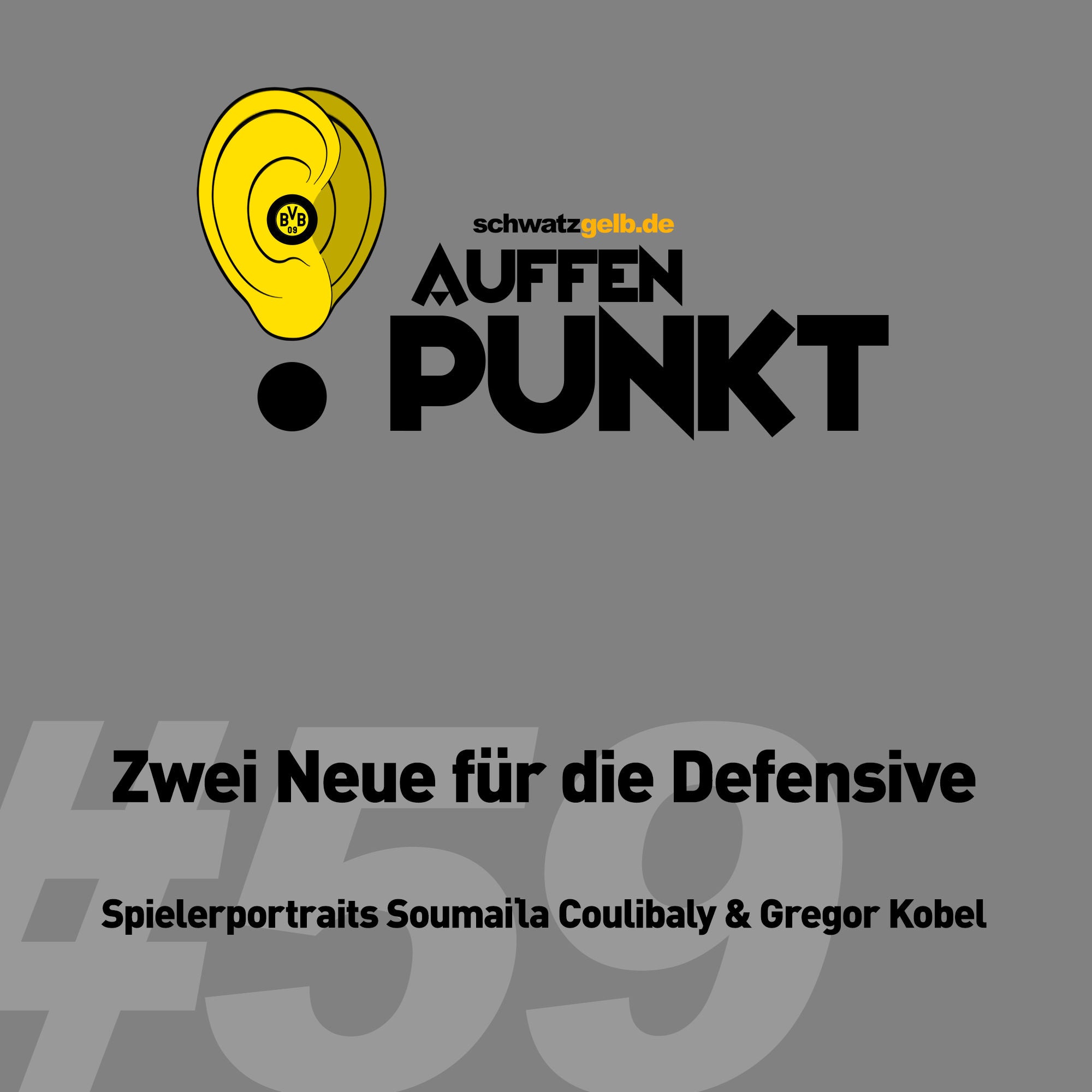 Auffen Punkt #59: Zwei Neue für die Defensive