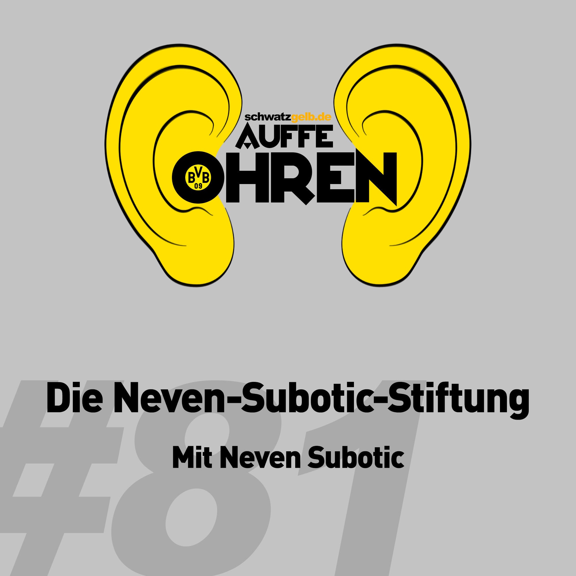 Auffe Ohren #81: Die Neven-Subotic-Stiftung