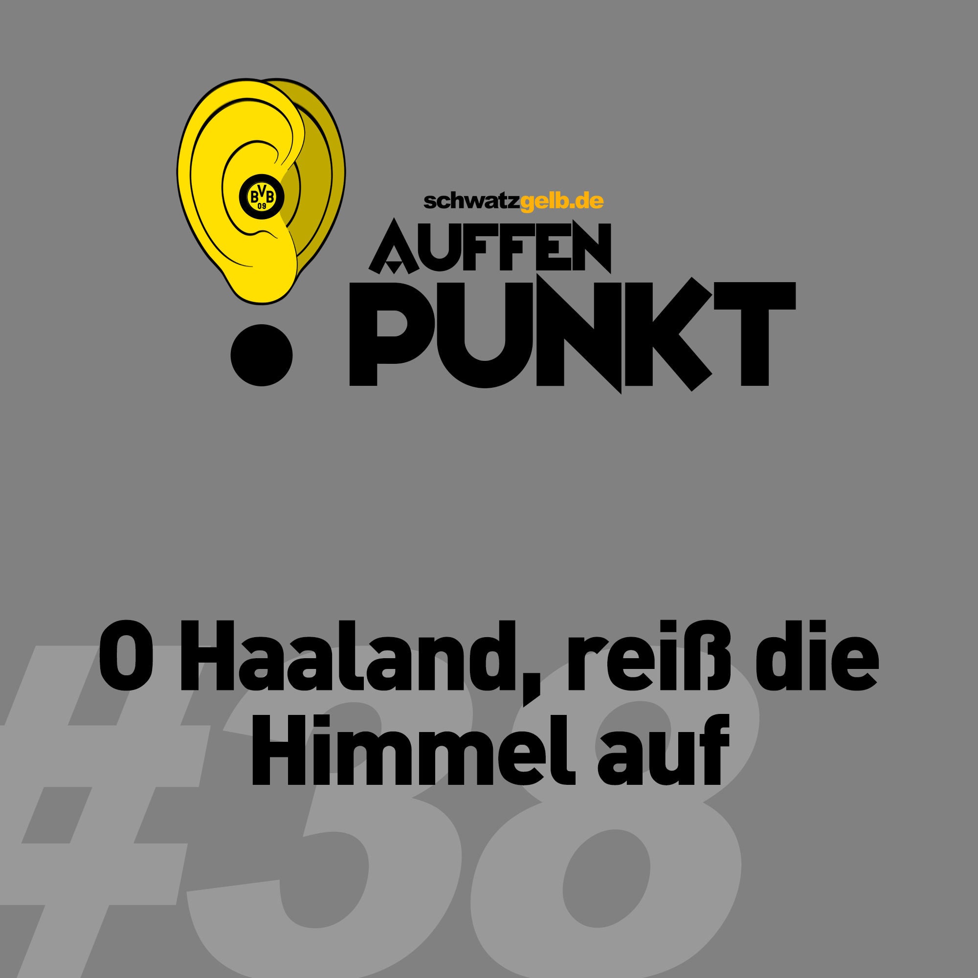 Auffen Punkt #38: O Haaland, reiß die Himmel auf