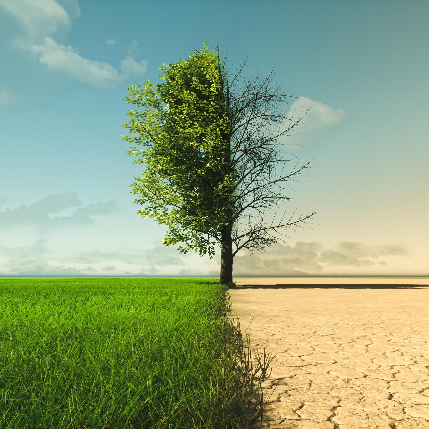 Tipping Points in der Klimakrise - Es gibt kein zurück