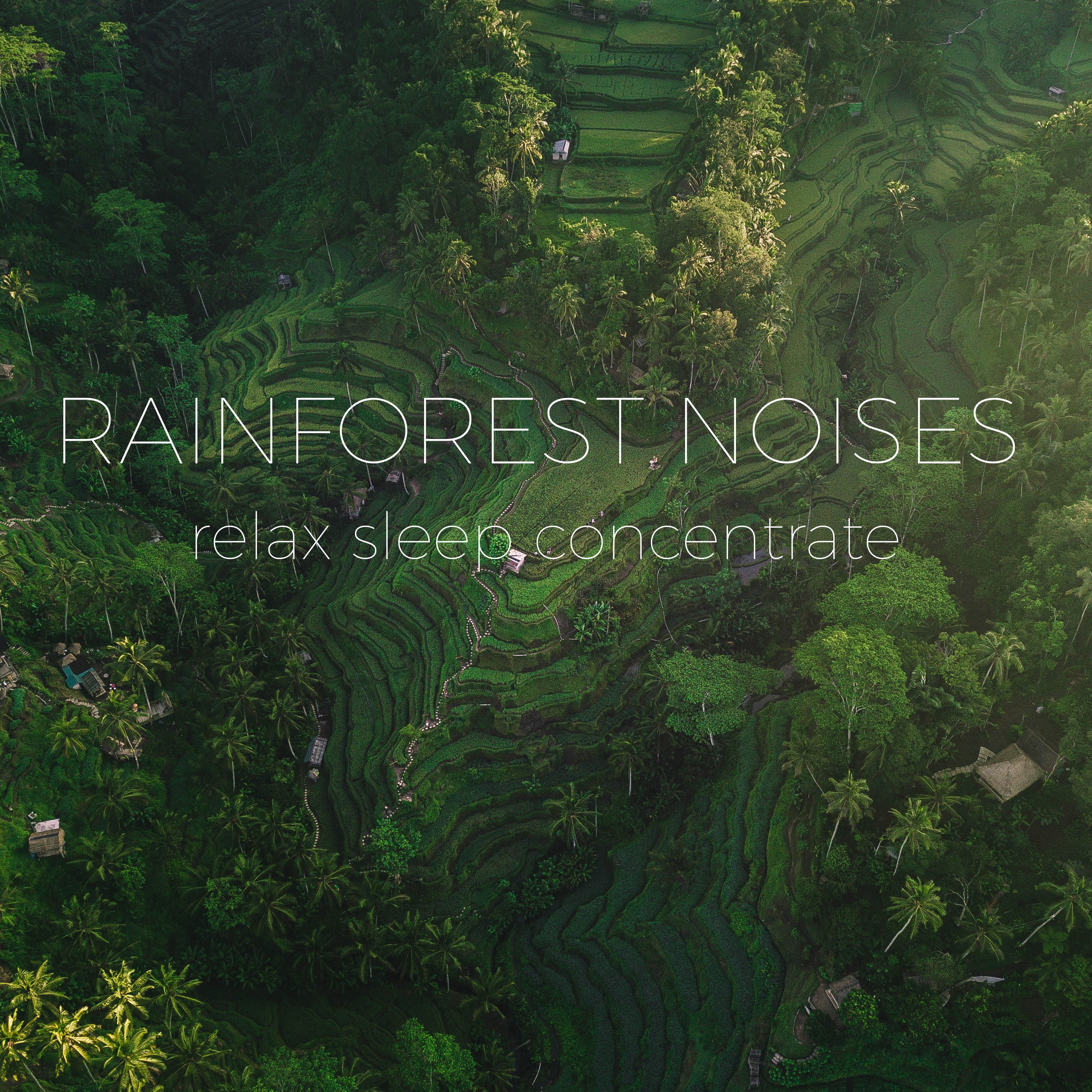 Rainforest Ambience Noise | Noises for better sleep, relaxing, focus time & baby soothe