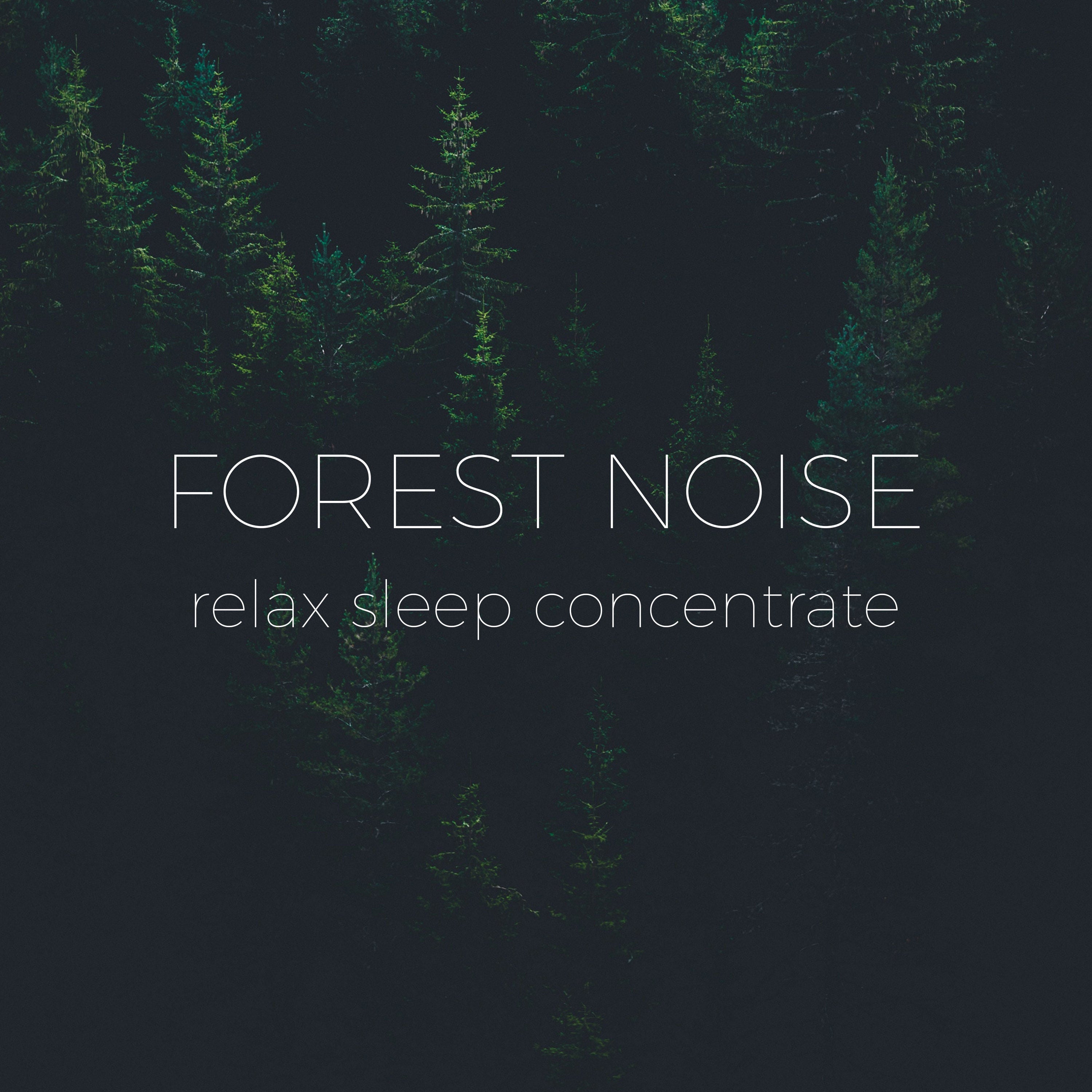 Forest Sounds with Birds and Trees | Noises for better sleep, relaxing, focus time & baby soothe