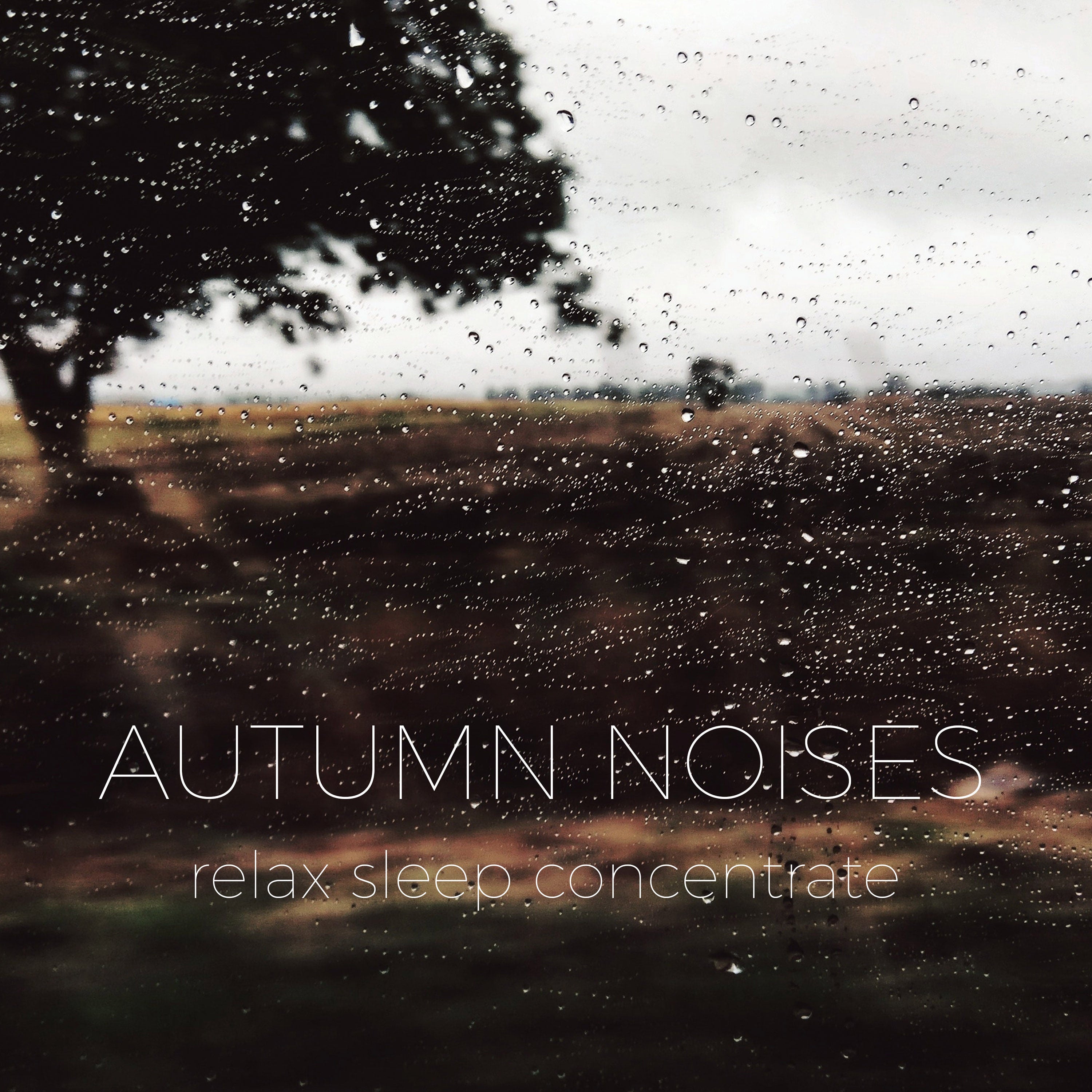 Autumn Rainy Weather Noises | Noises for better sleep, relaxing, focus time & baby soothe