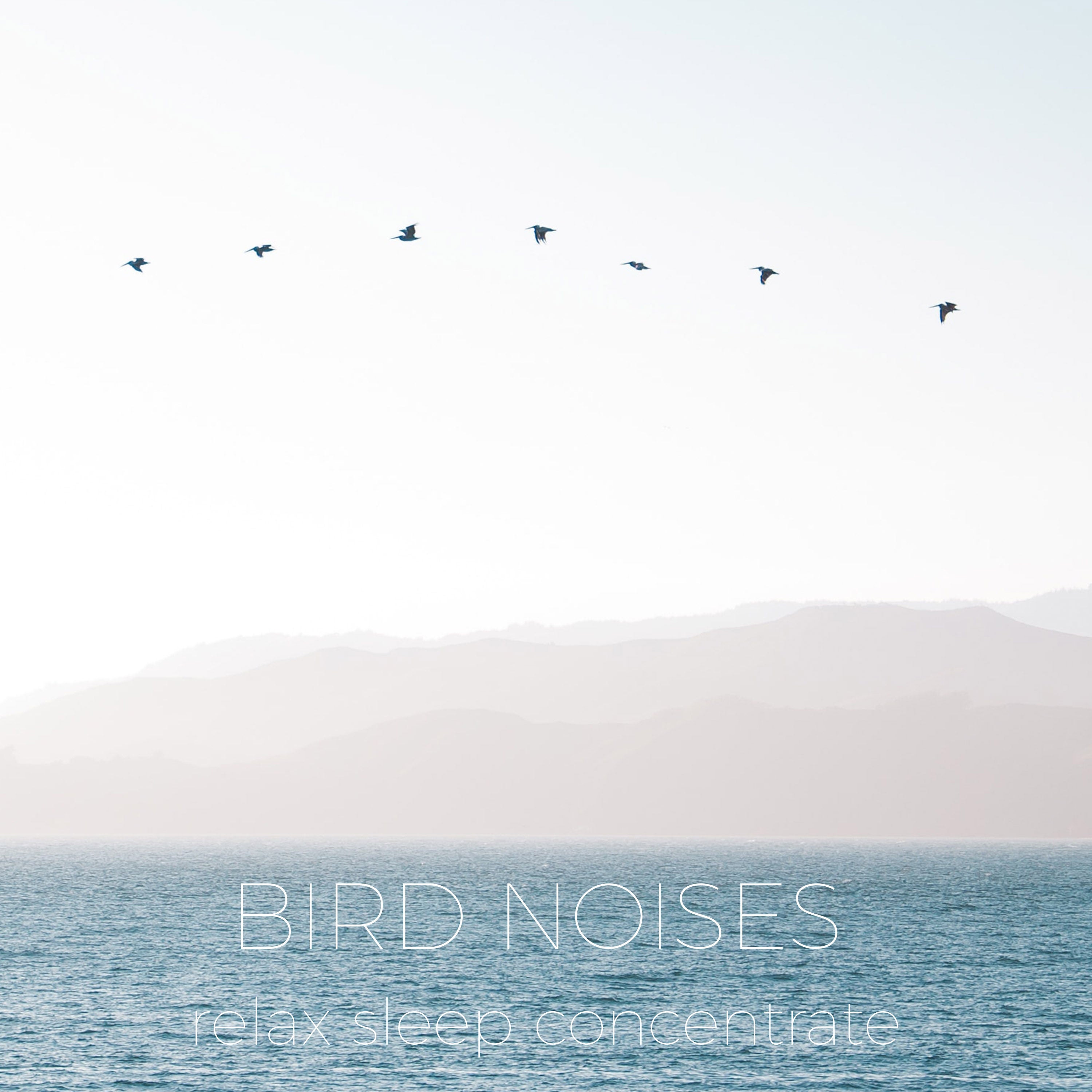 Early Morning Forest Birds Noises | Noises for better sleep, relaxing, focus time & baby soothe