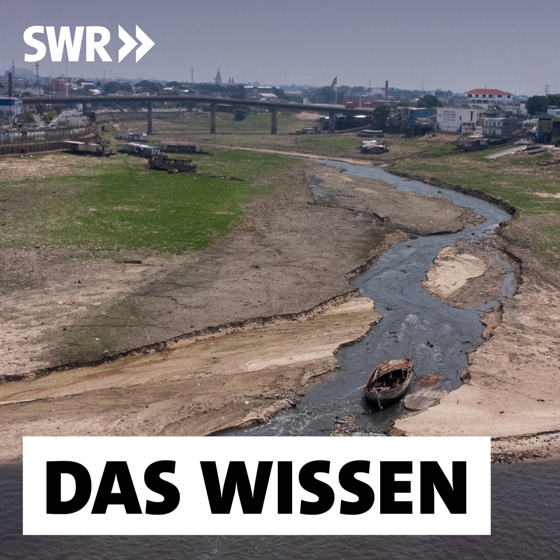 Trockenheit am Amazonas – Wie ein Umweltsystem damit fertig wird