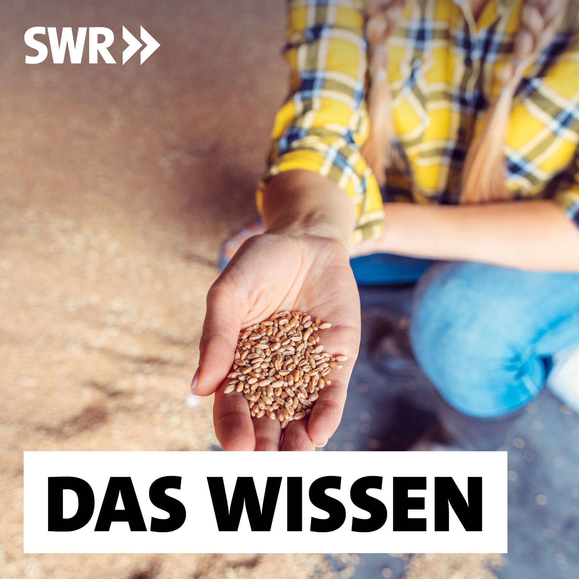 Lebensmittelversorgung – So bereitet Deutschland sich auf Krisen vor