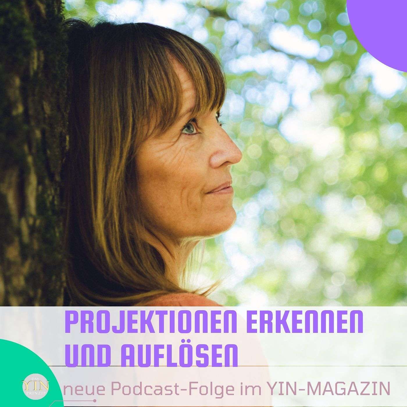 107: Projektionen erkennen und auflösen