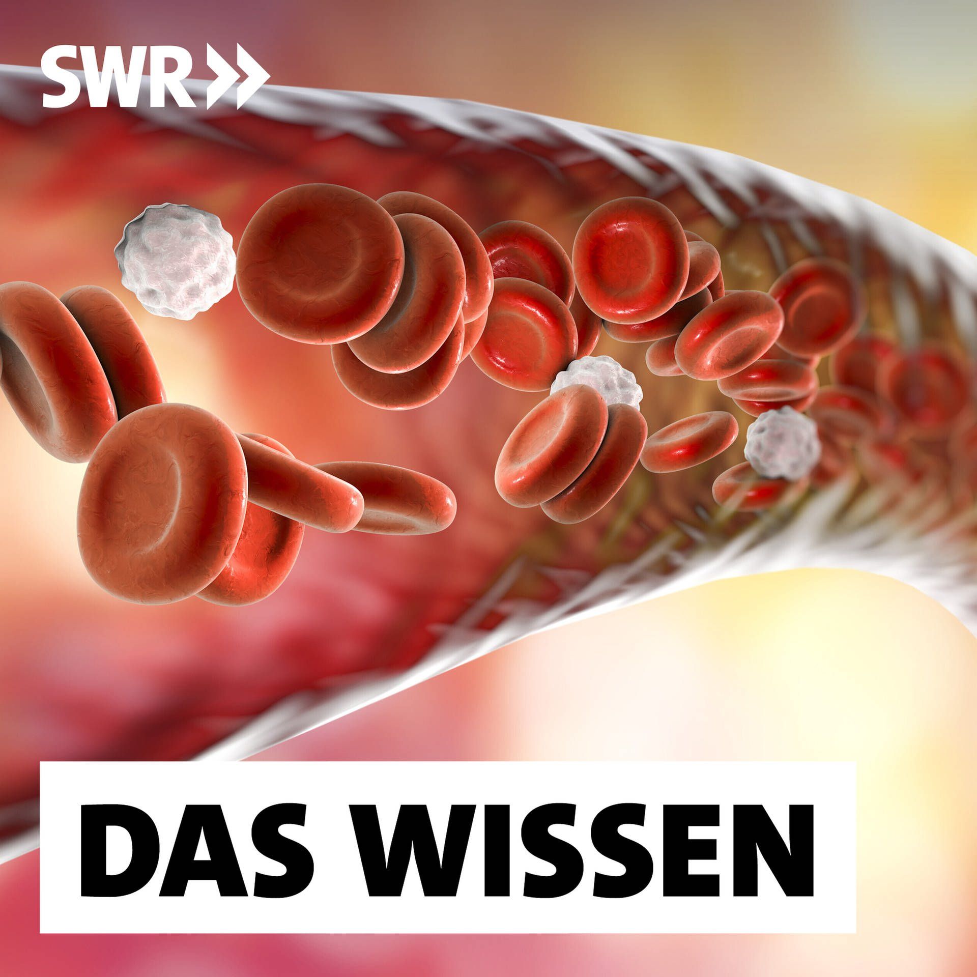 Blut – Lebensspender, Abwehrkraft und Jungbrunnen