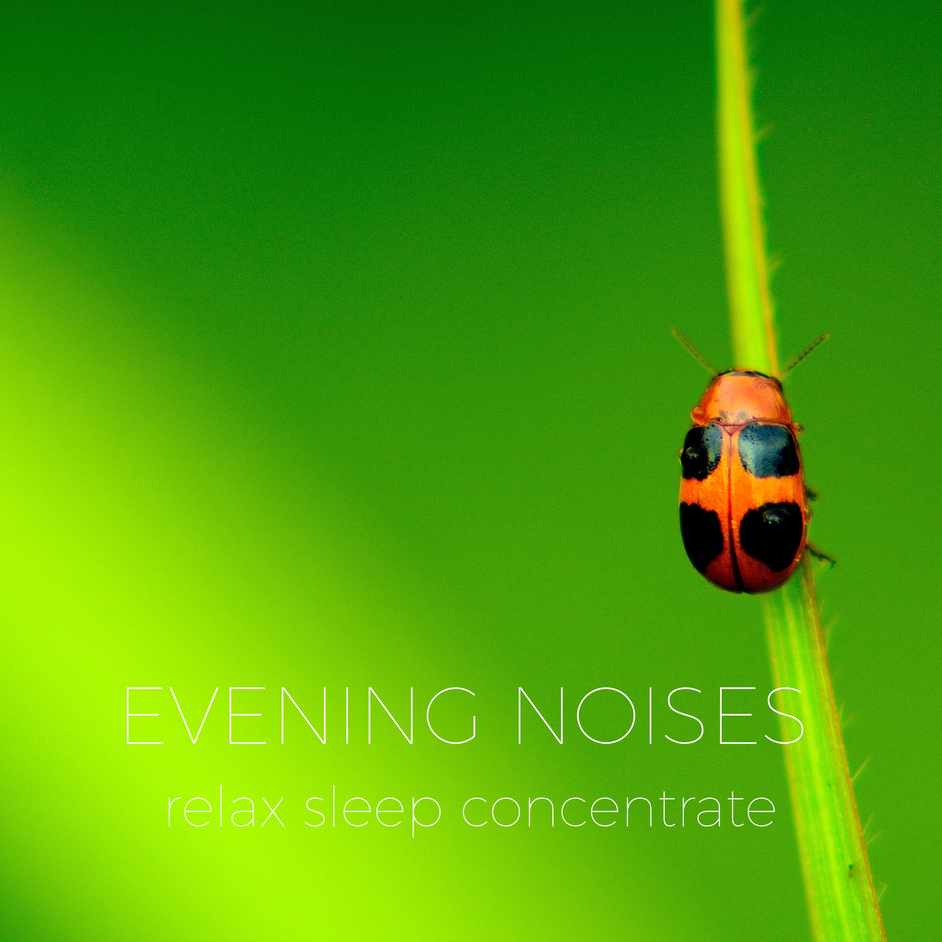 Summer Night Ambient Noise | Noises for better sleep, relaxing, focus time & baby soothe