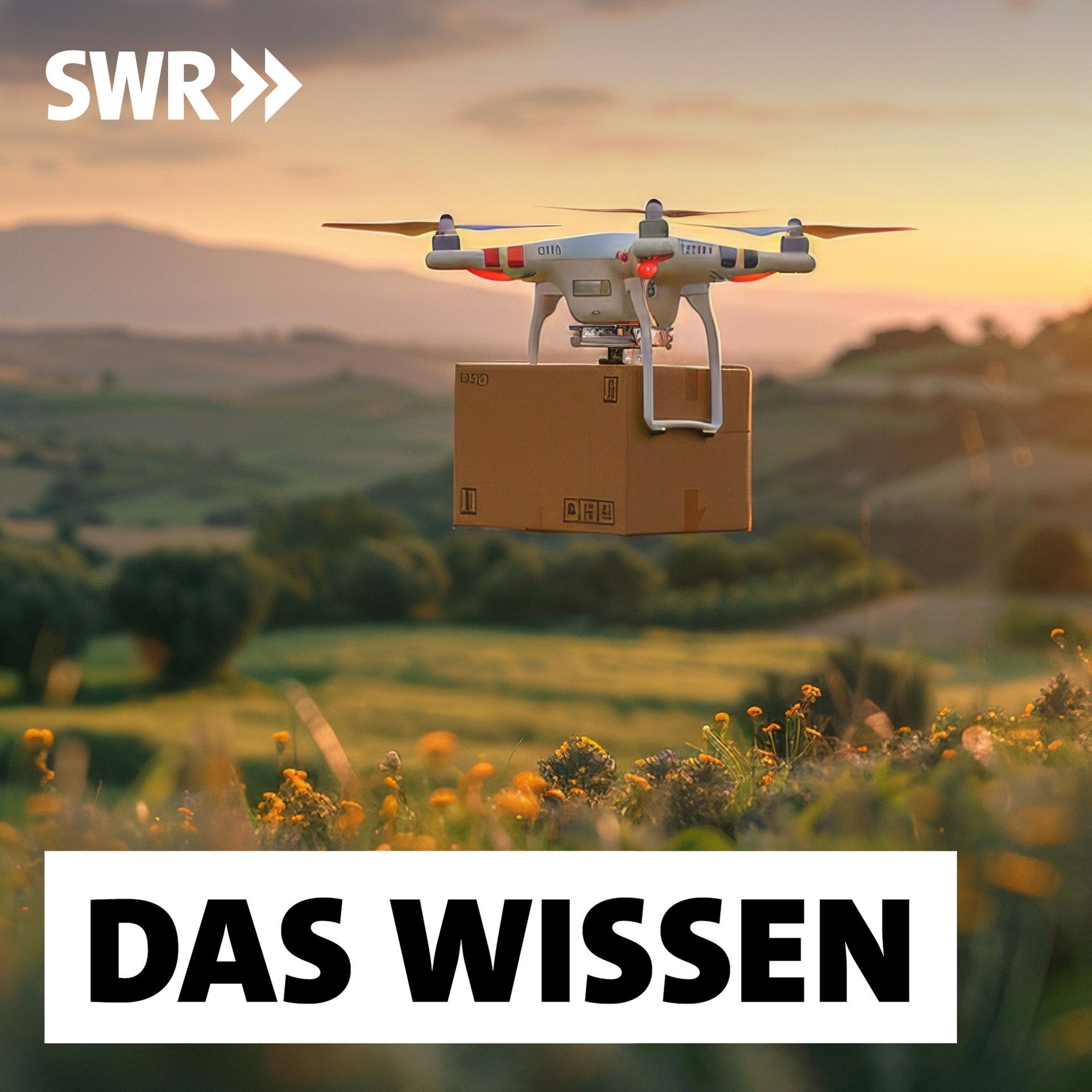 E-LKW, Bahn und Drohne – Neue Logistik für unsere Güter