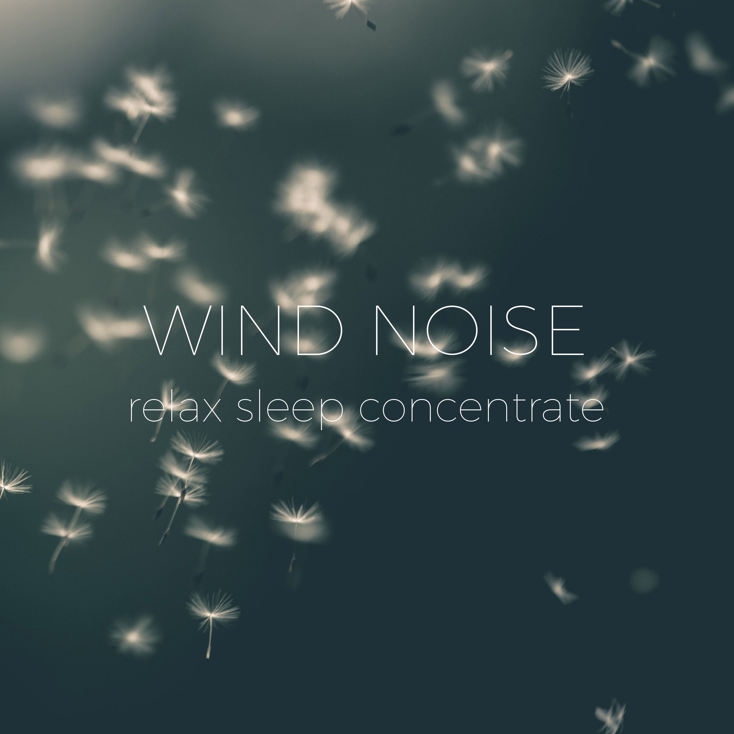 Skydive and Wind | Noises for better sleep, relaxing, focus time & baby soothe