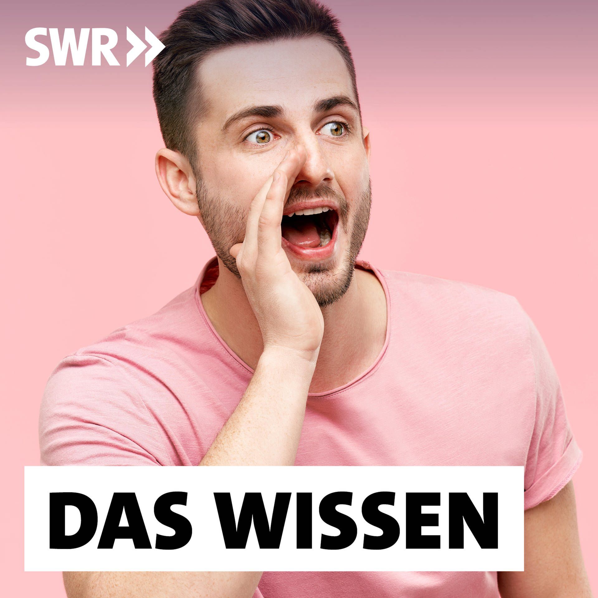 Die menschliche Stimme – Wann sie gut klingt und wie sie schöner wird