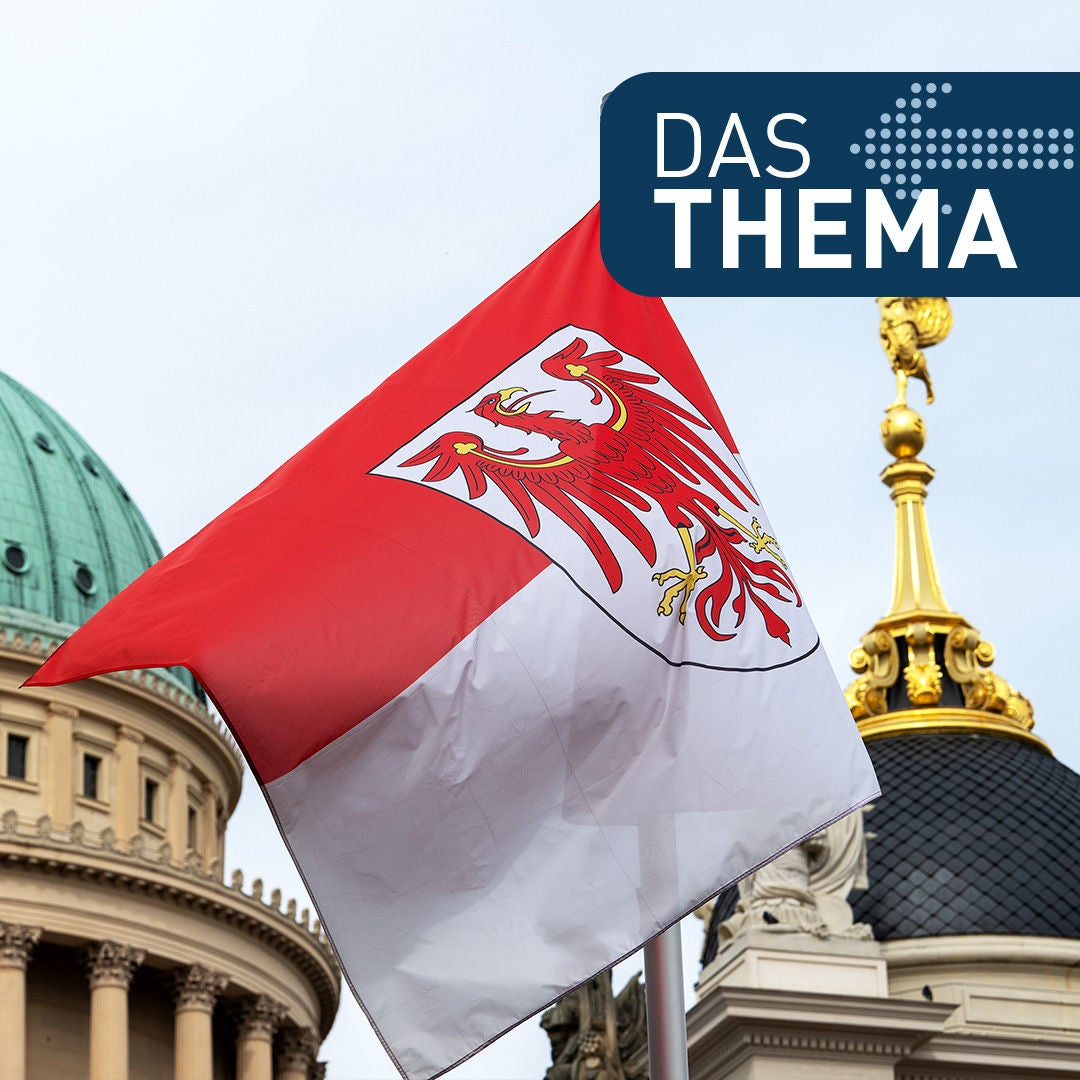 Prognose: Zitterpartie. Brandenburg vor der Wahl