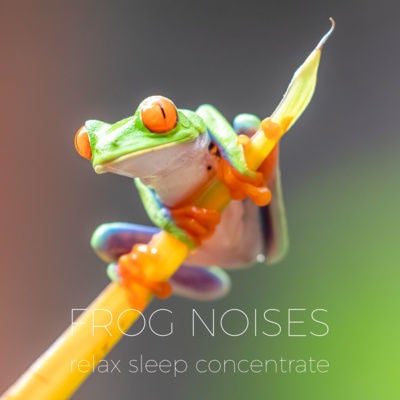 Frogs and Insects Noise | Noises for better sleep, relaxing, focus time & baby soothe