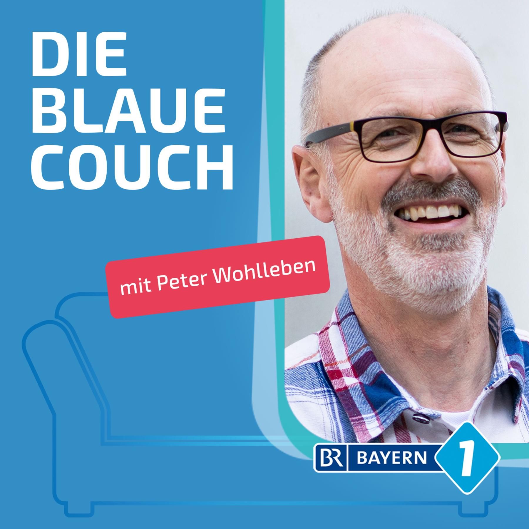 Peter Wohlleben, Förster