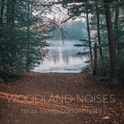 Woodland Silence Ambient Noise | Noises for better sleep, relaxing, focus time & baby soothe