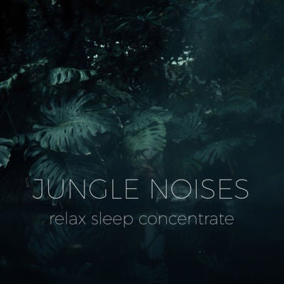 Jungle and Rainforest | Noises for better sleep, relaxing, focus time & baby soothe