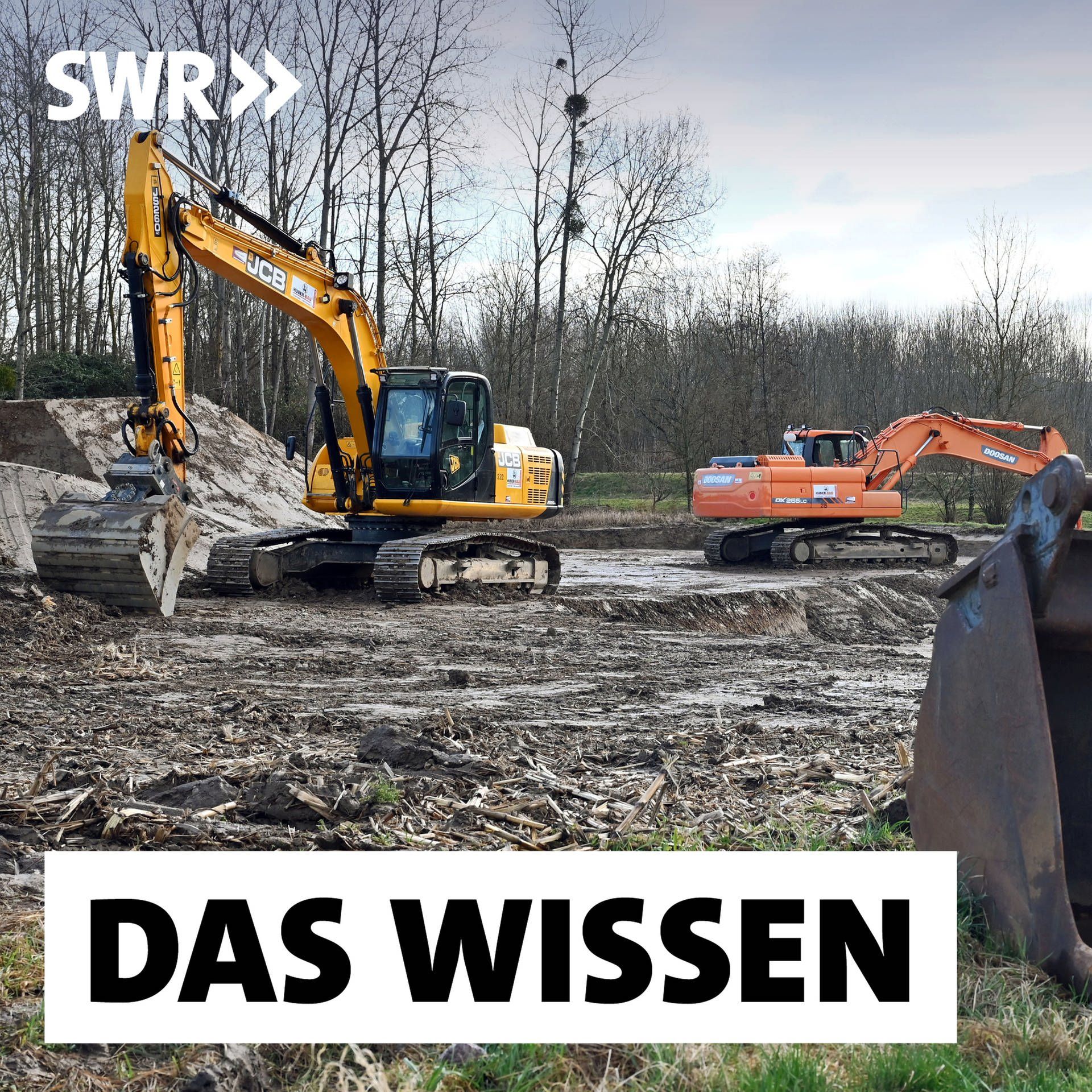 PFAS – Wie umgehen mit gefährlichen Ewigkeits-Chemikalien?