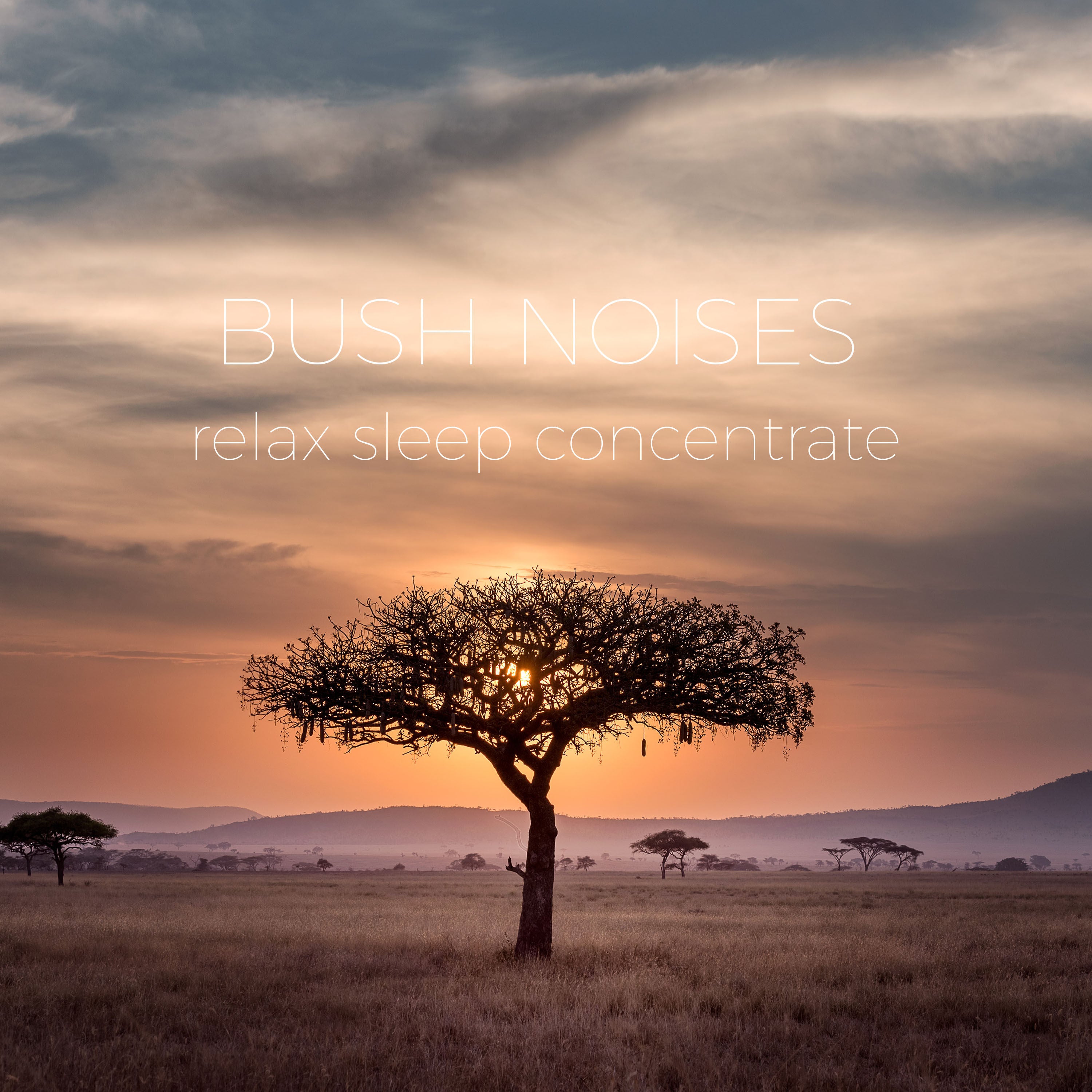 African Bush Summer Noise | Noises for better sleep, relaxing, focus time & baby soothe