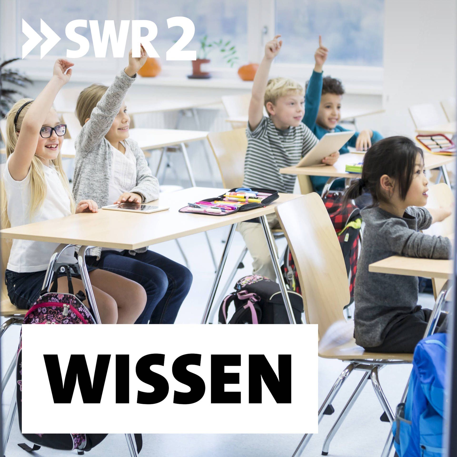 Schule ohne Noten – Verstehen statt sturem Pauken