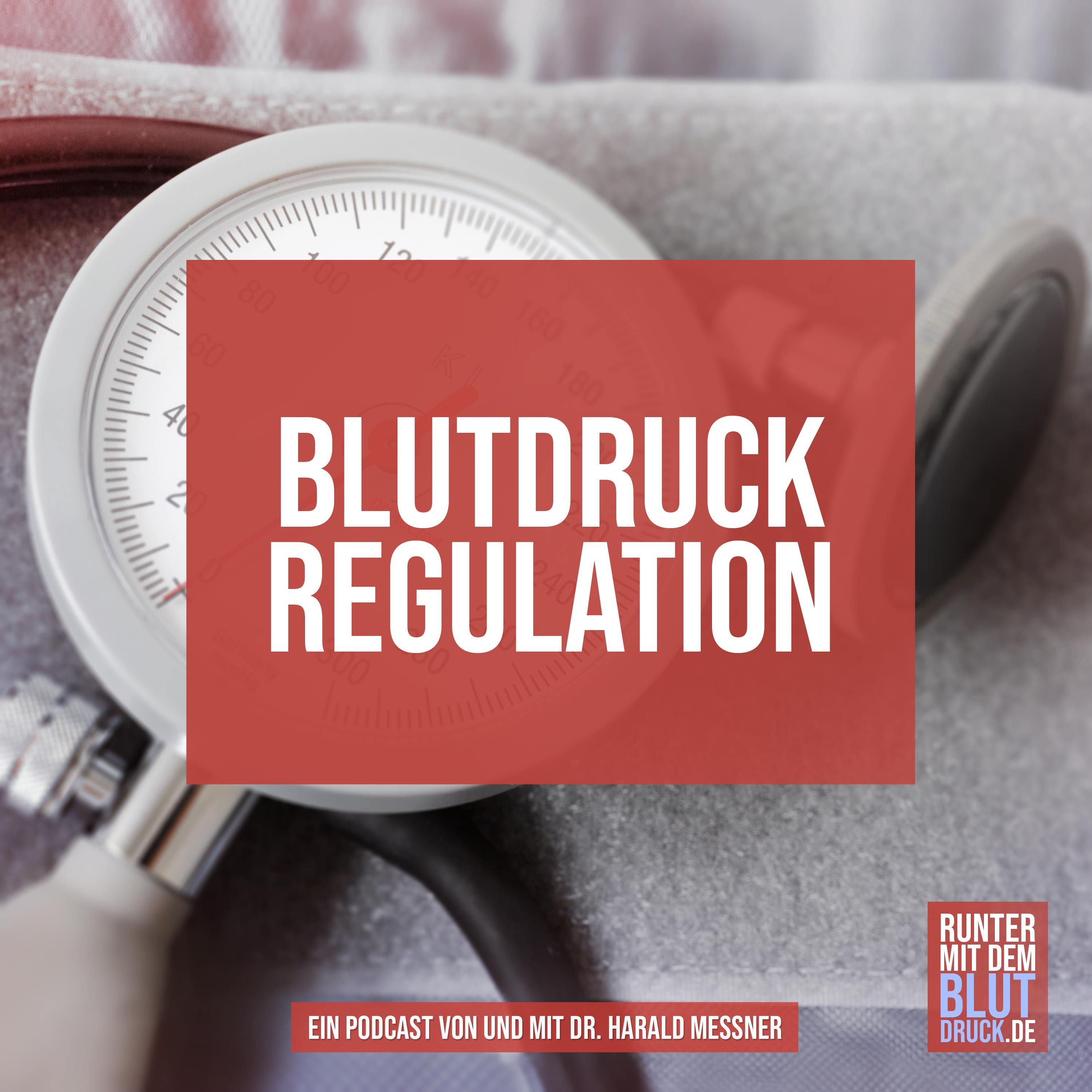 #2-Blutdruckregulation