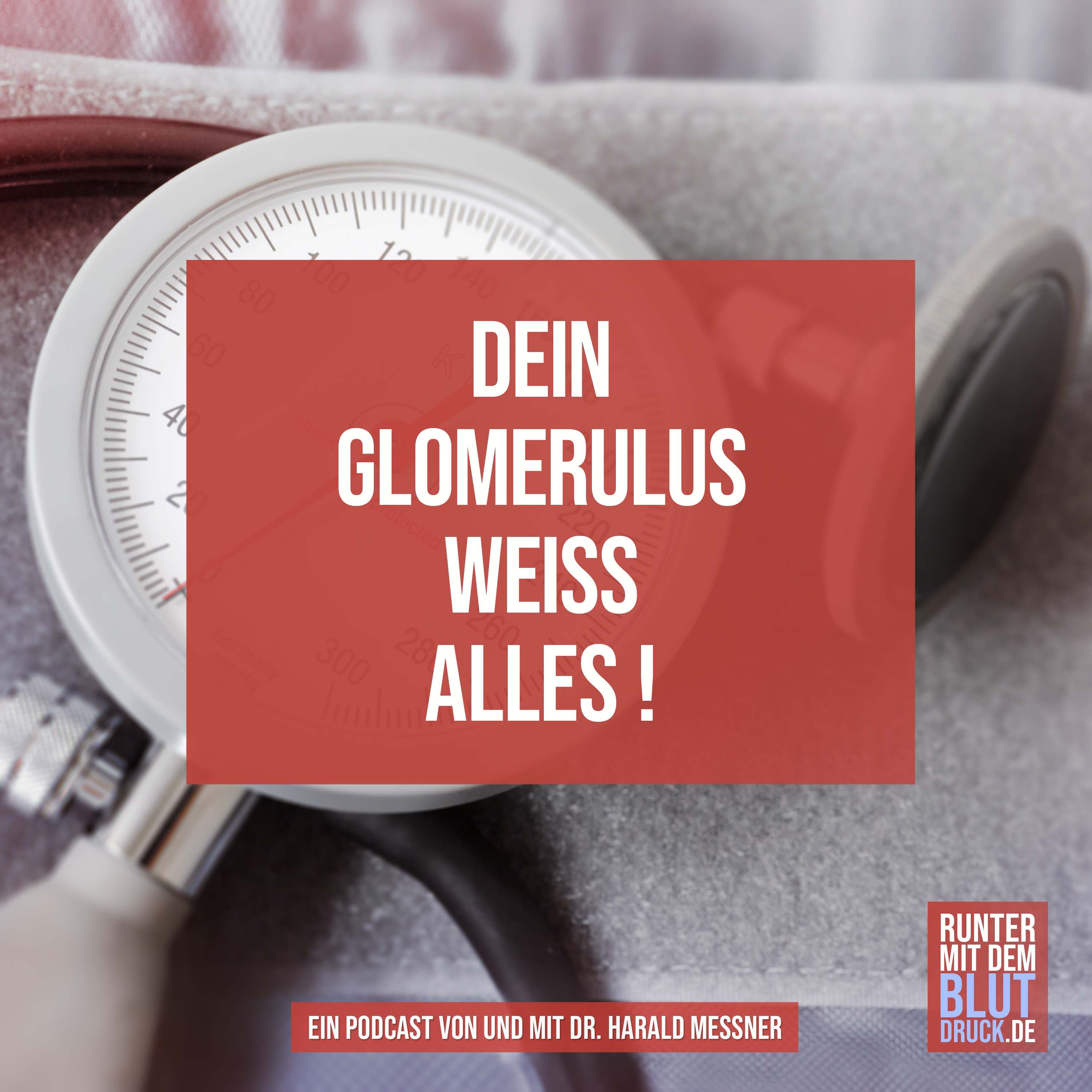 Dein Glomerulus weiß alles!