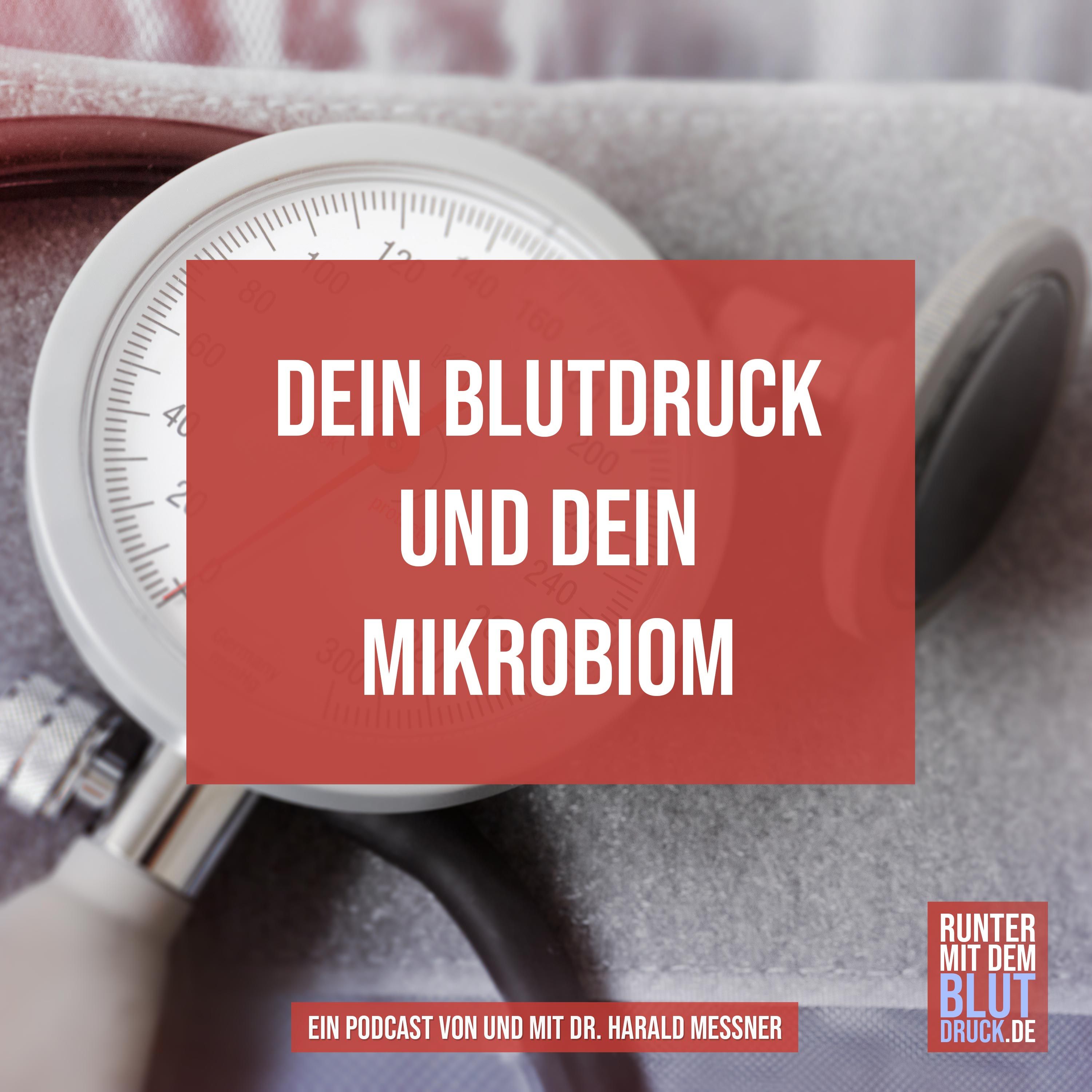 Dein Blutdruck und dein Mikrobiom