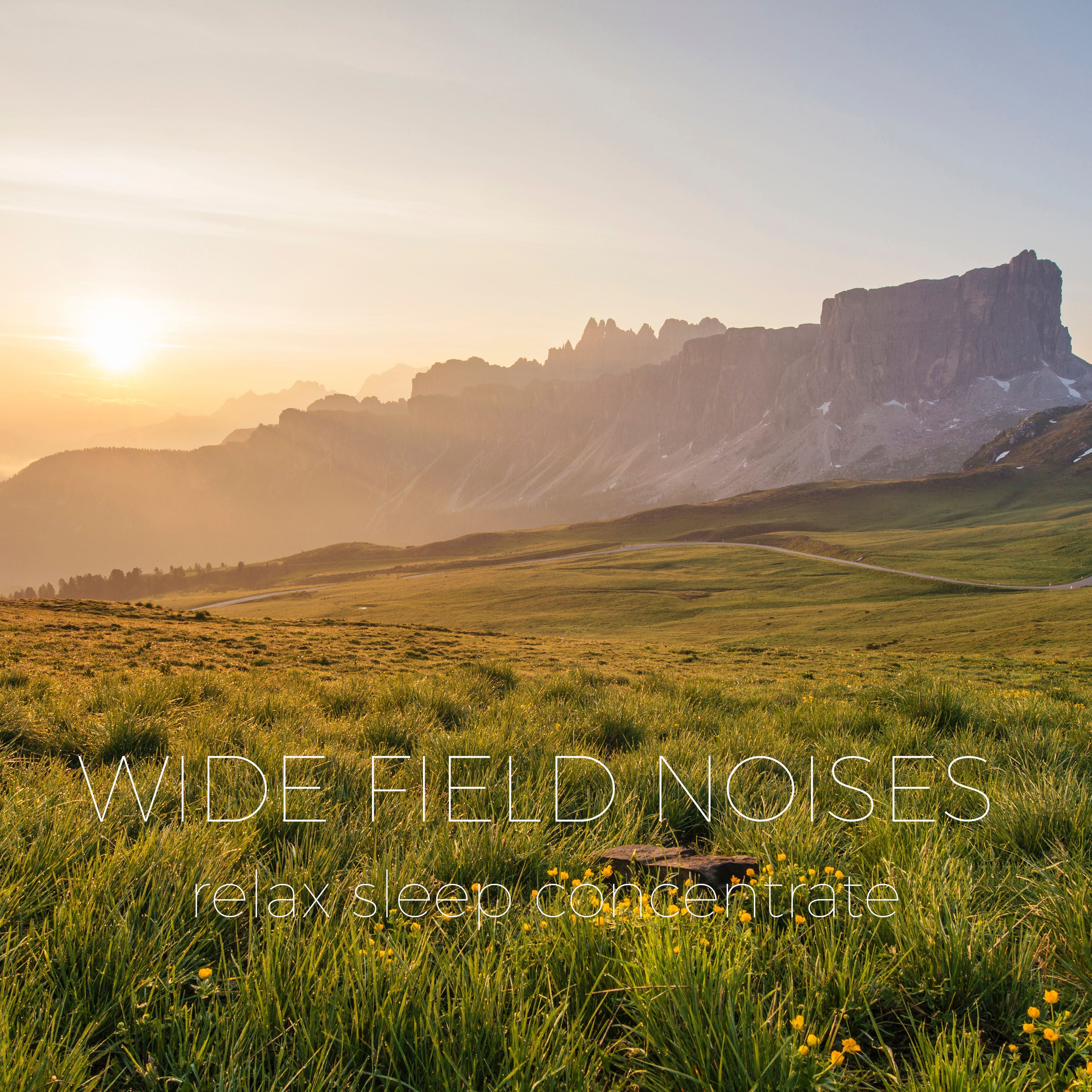Wide Field Ambience Noise | Noises for better sleep, relaxing, focus time & baby soothe