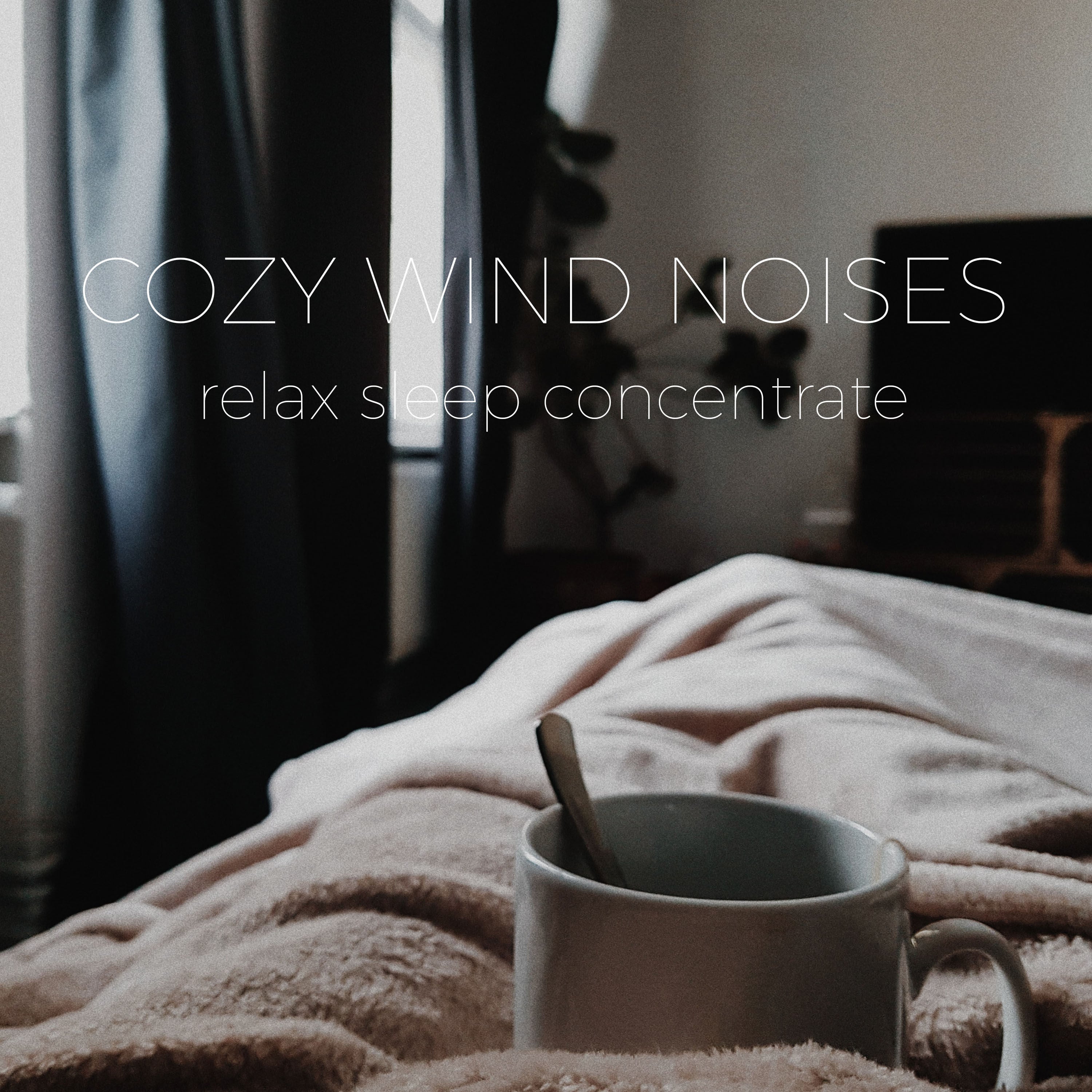 Cozy Ambience Strong Wind Noise | Noises for better sleep, relaxing, focus time & baby soothe