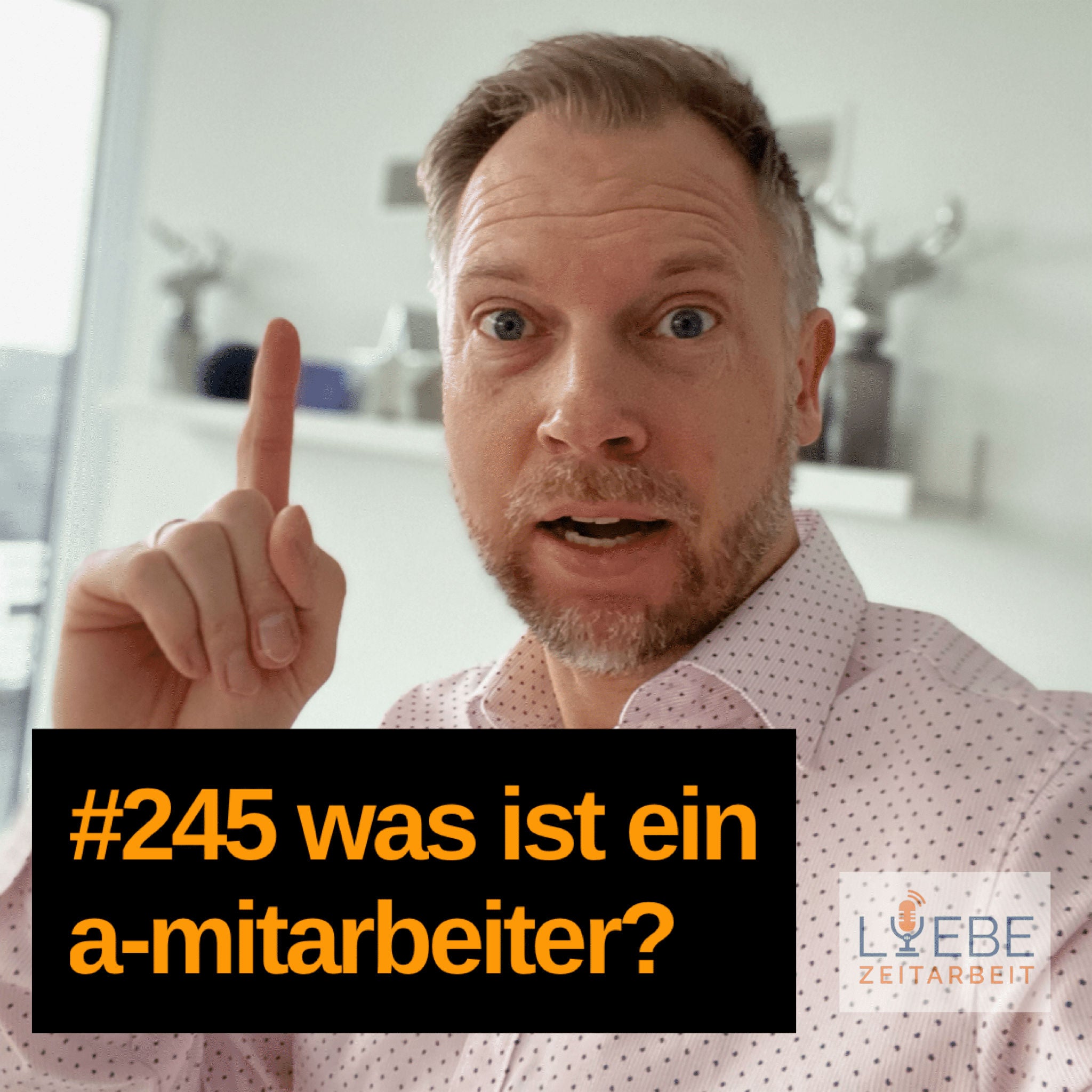#245 Was ist ein A-Mitarbeiter?