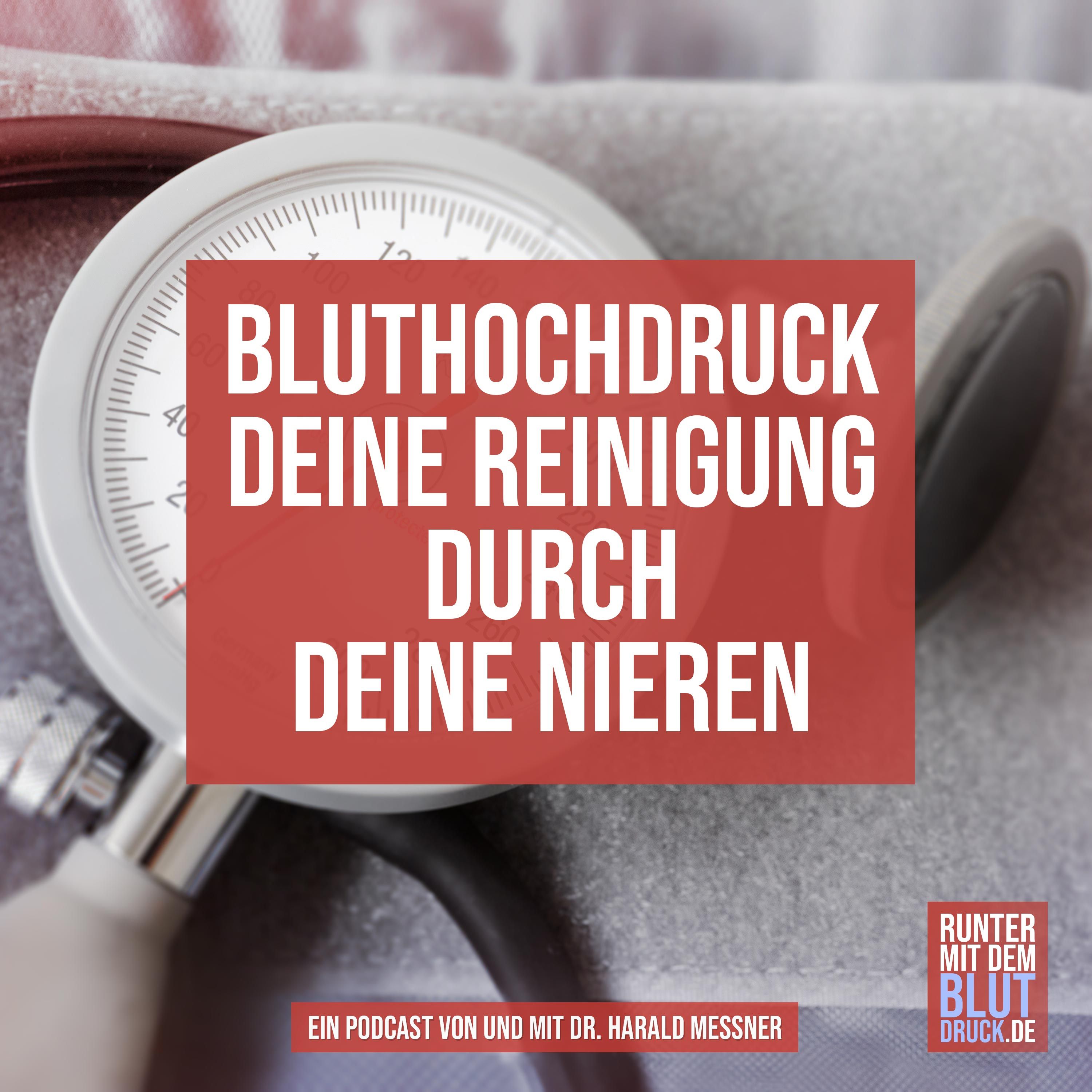 Deine Reinigung durch deine Nieren
