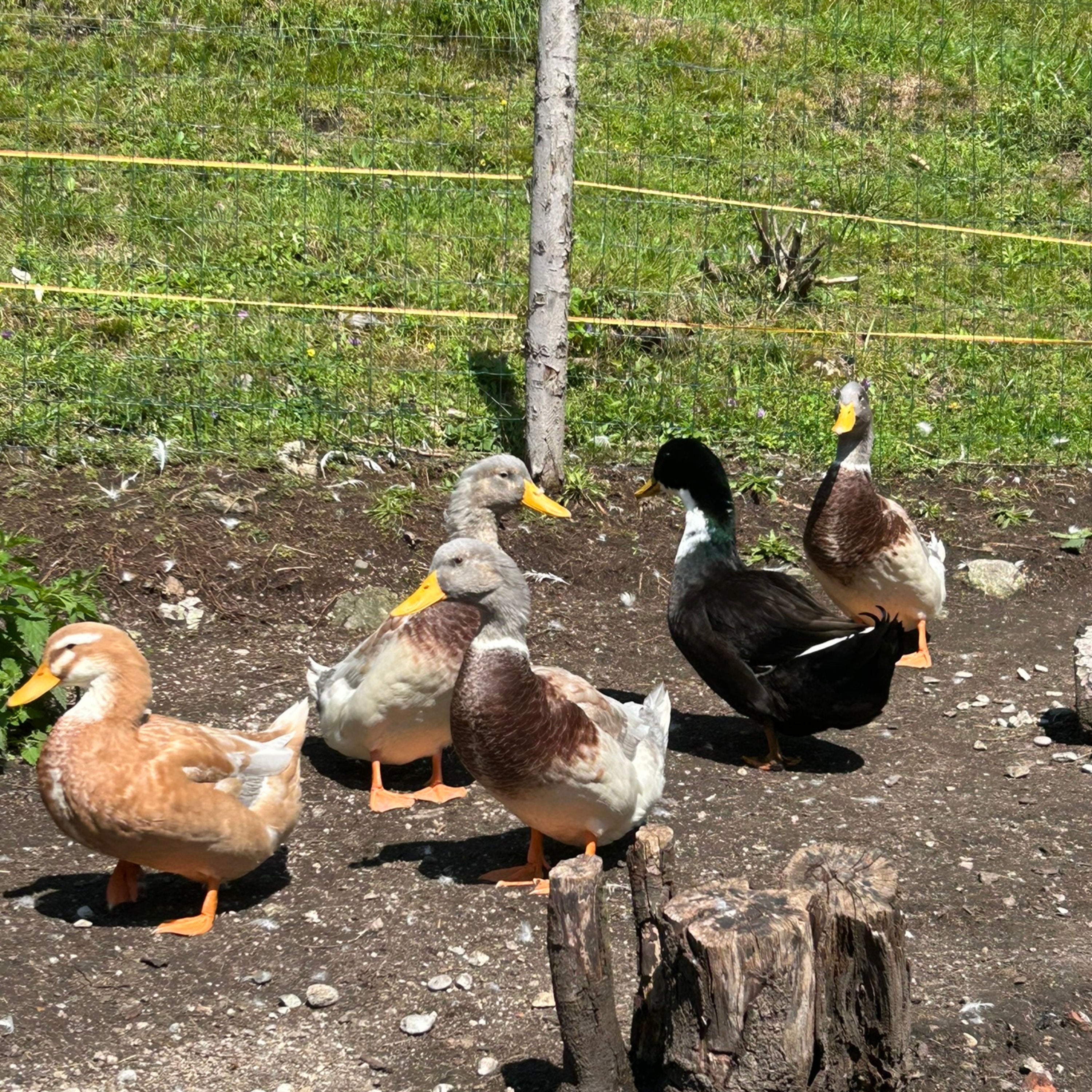 Ostern mit Kaktus