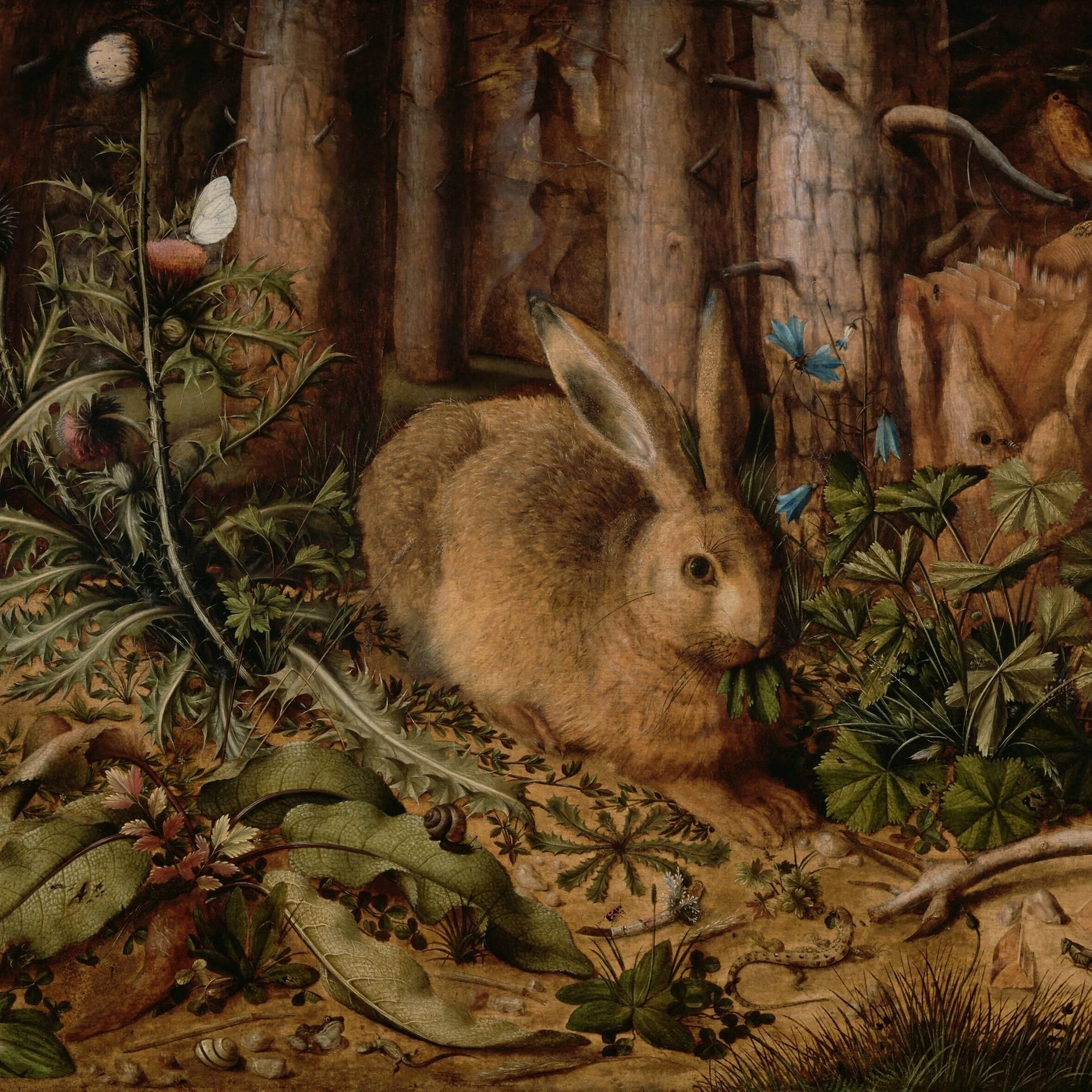 Mythos Wald - Früher gefährlich, heute gefährdet