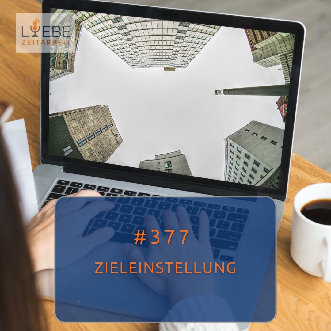 #377 Zieleinstellung