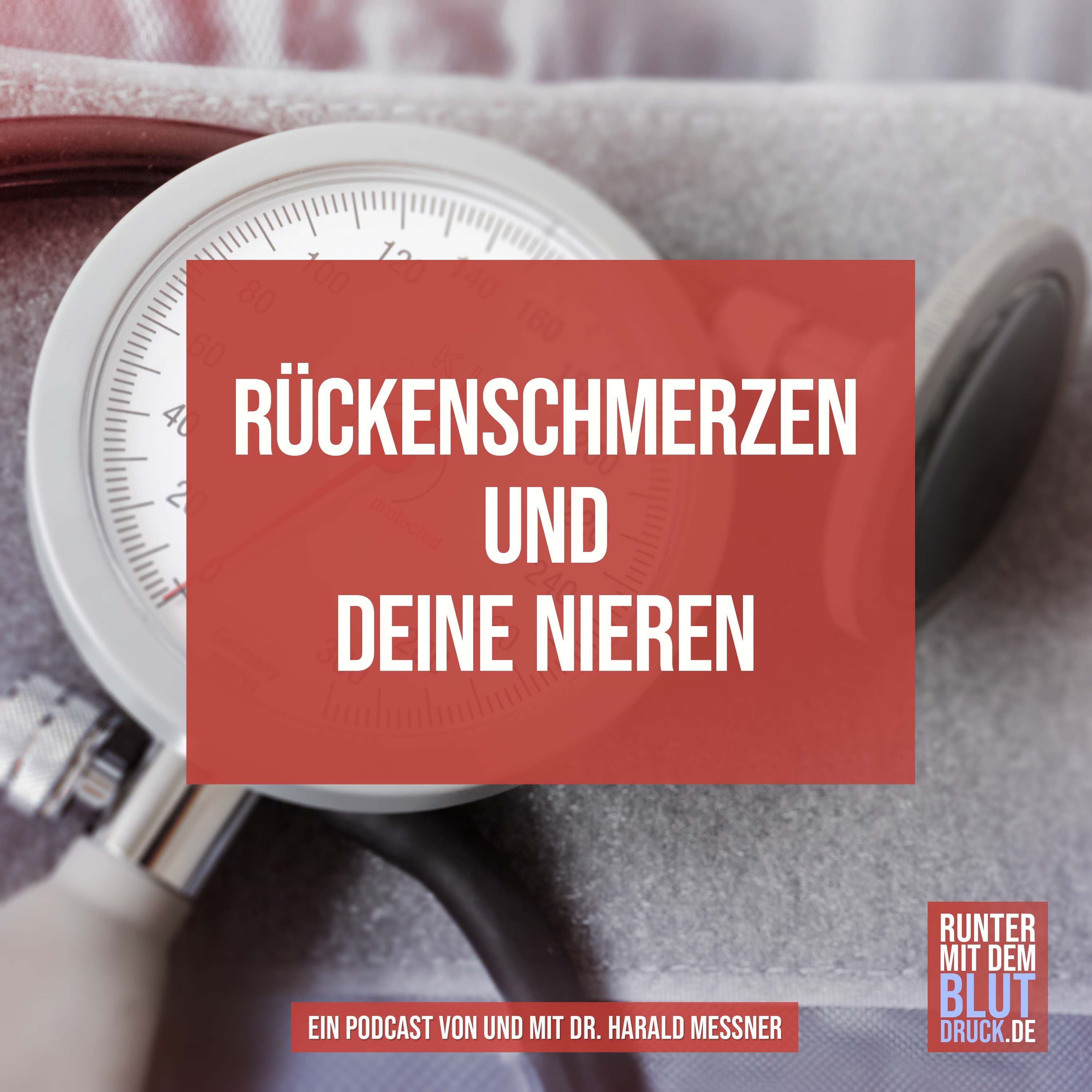 Rückenschmerzen und deine Nieren