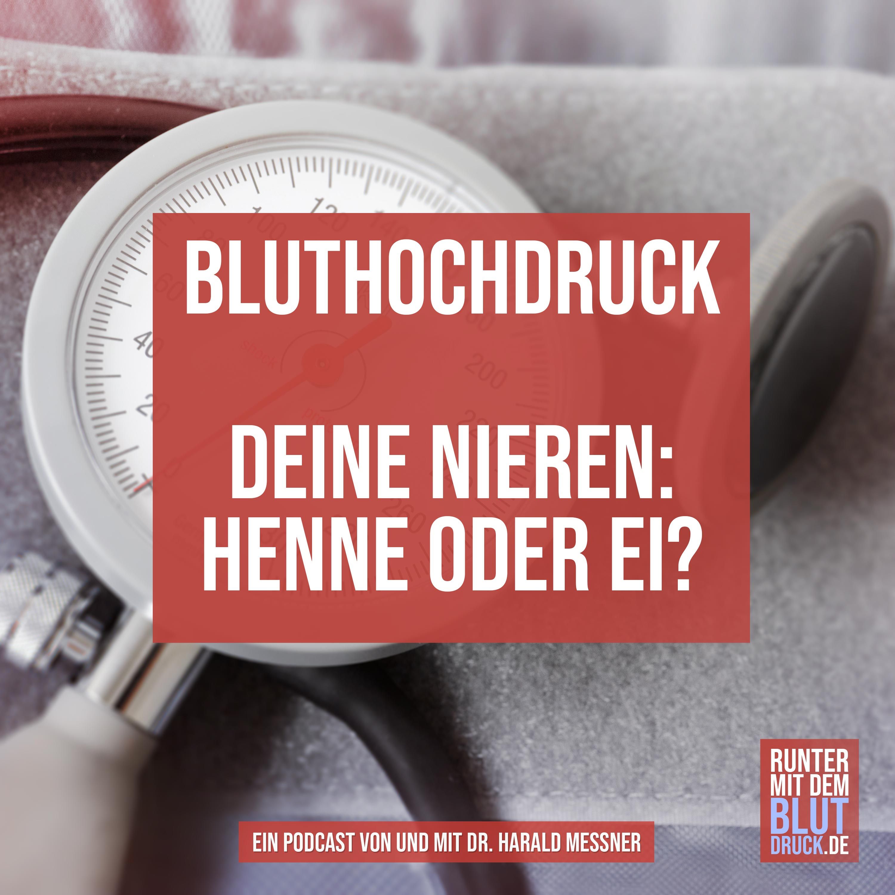 Bluthochdruck- deine Nieren: Henne oder Ei?