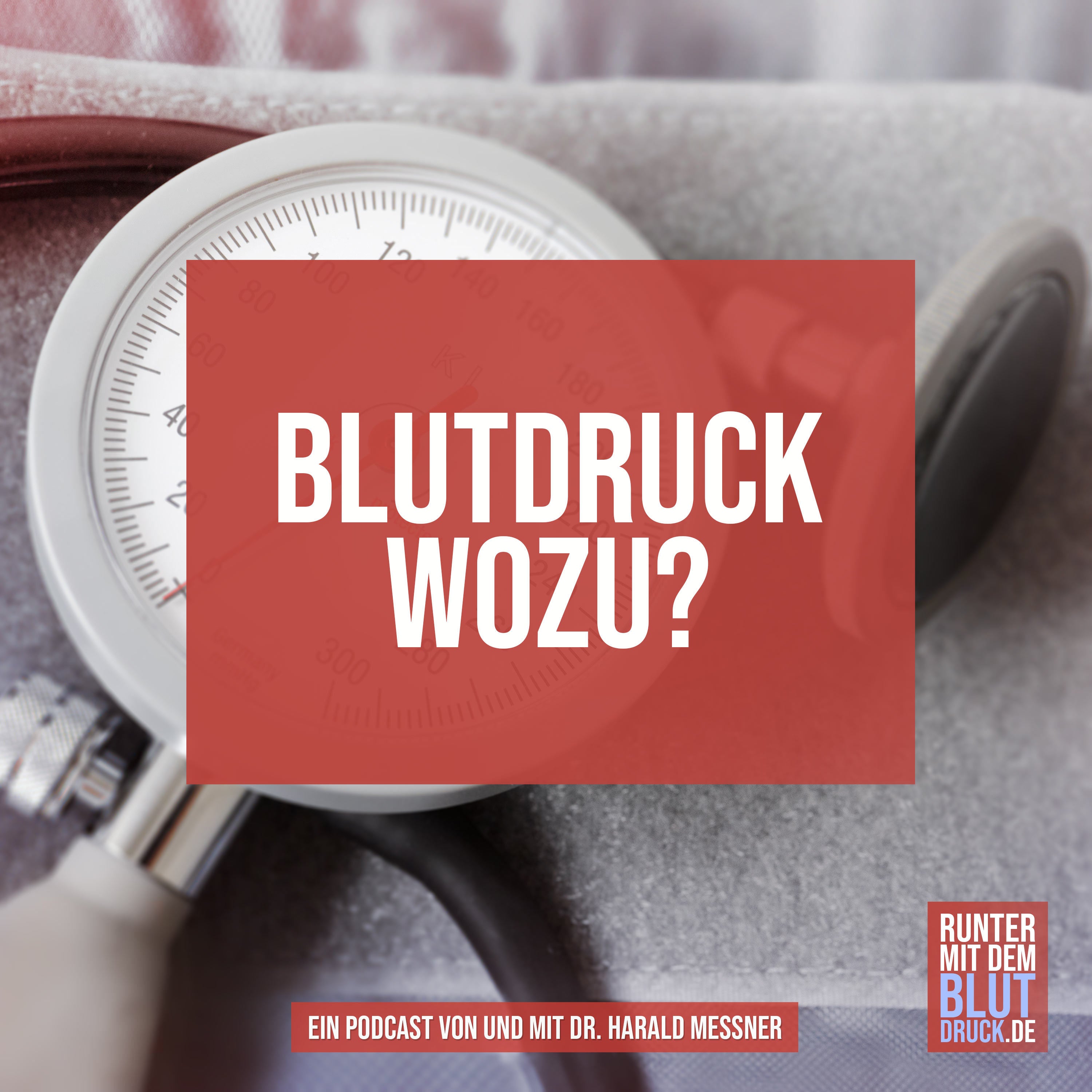 #1 Einführung und Blutdruck wozu?