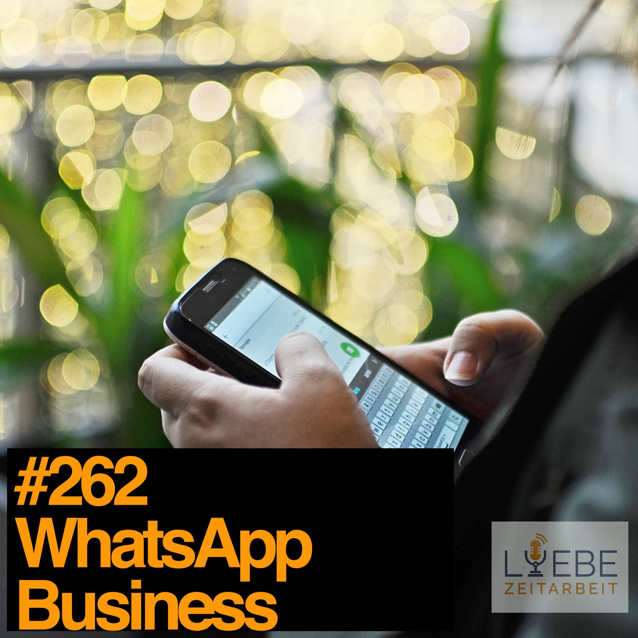 #262 WhatsApp Business